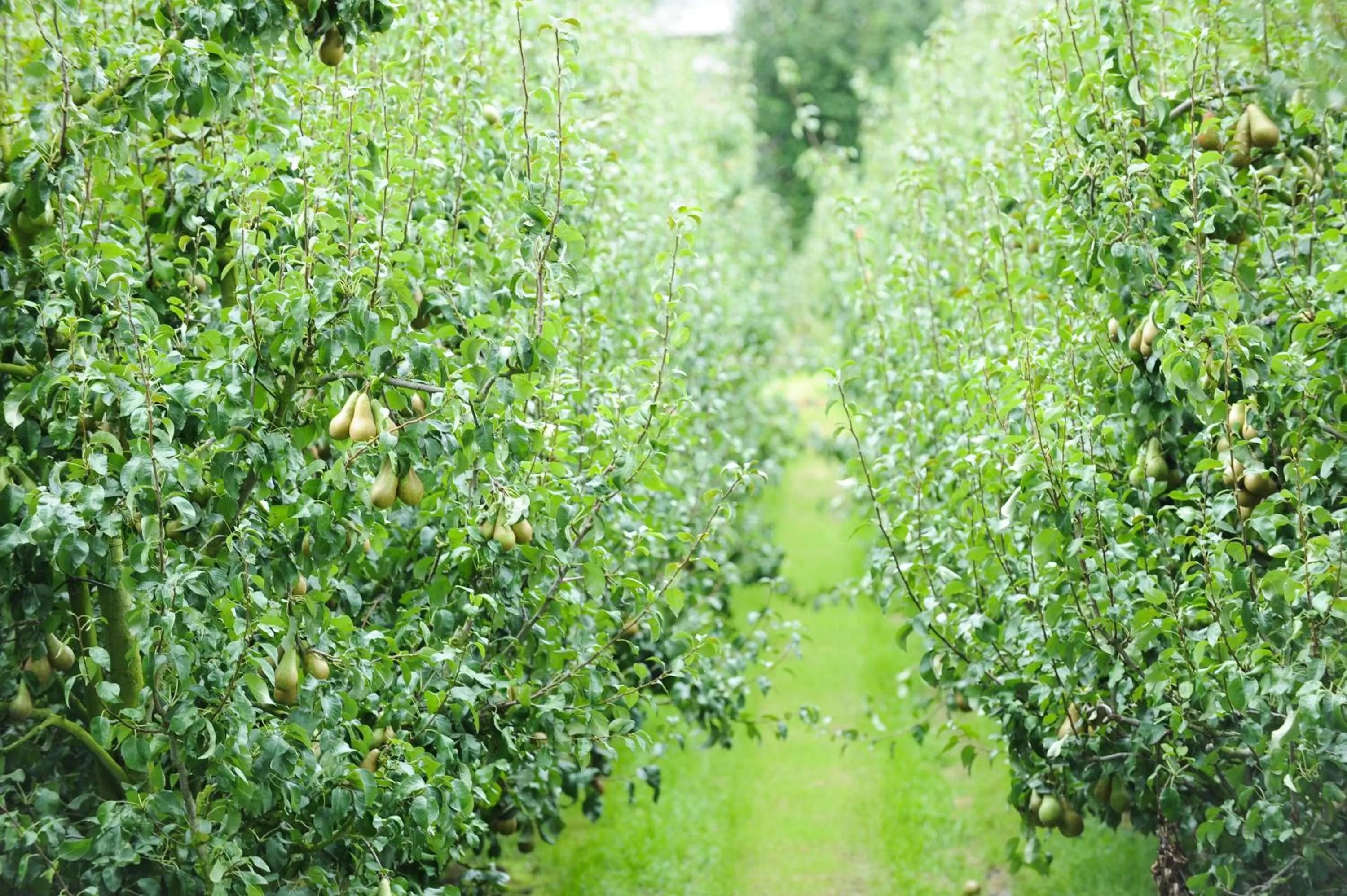 Area and facilities in Hotel de Watertoren