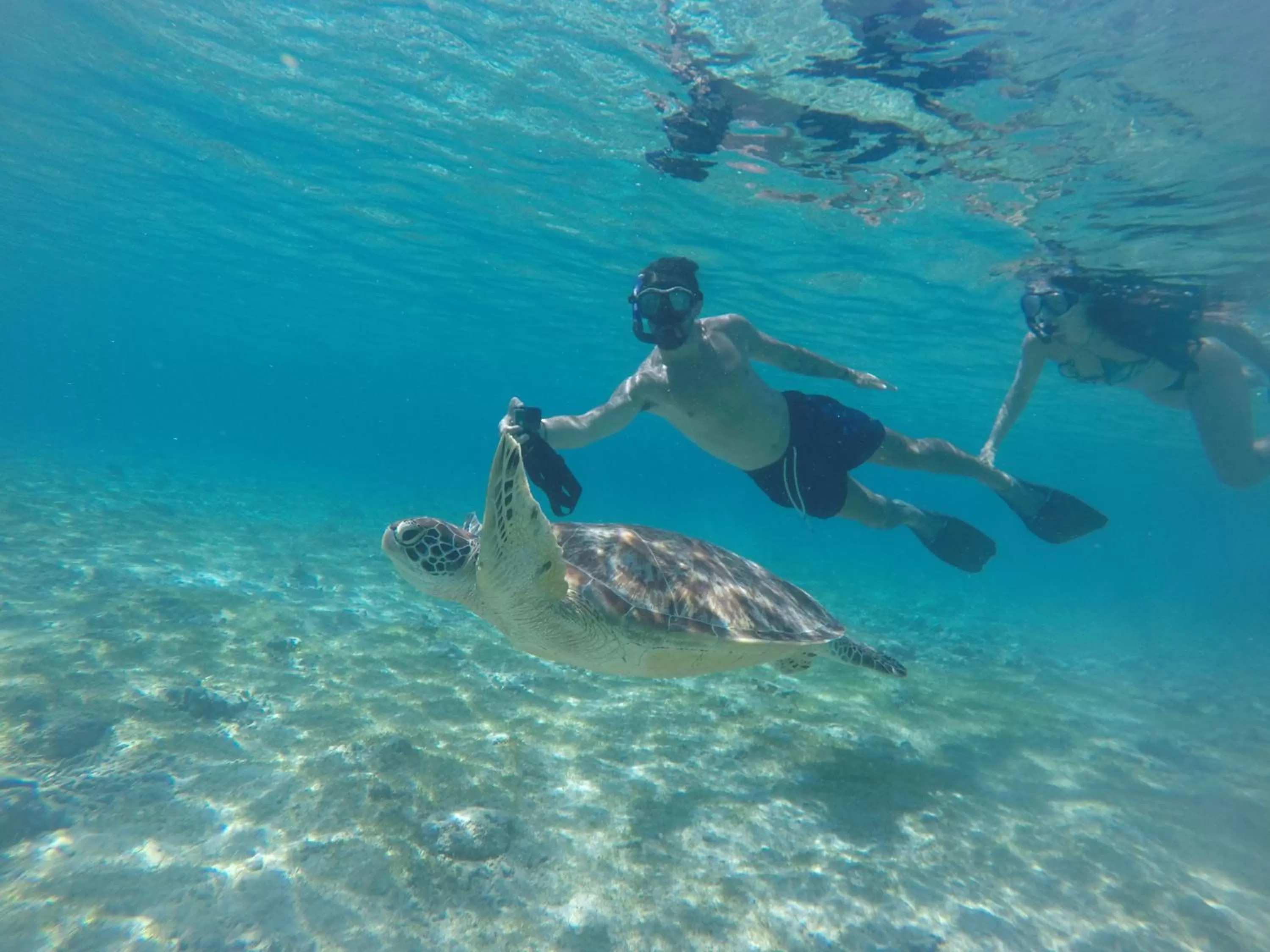 Snorkeling in Gita Gili Bungalow