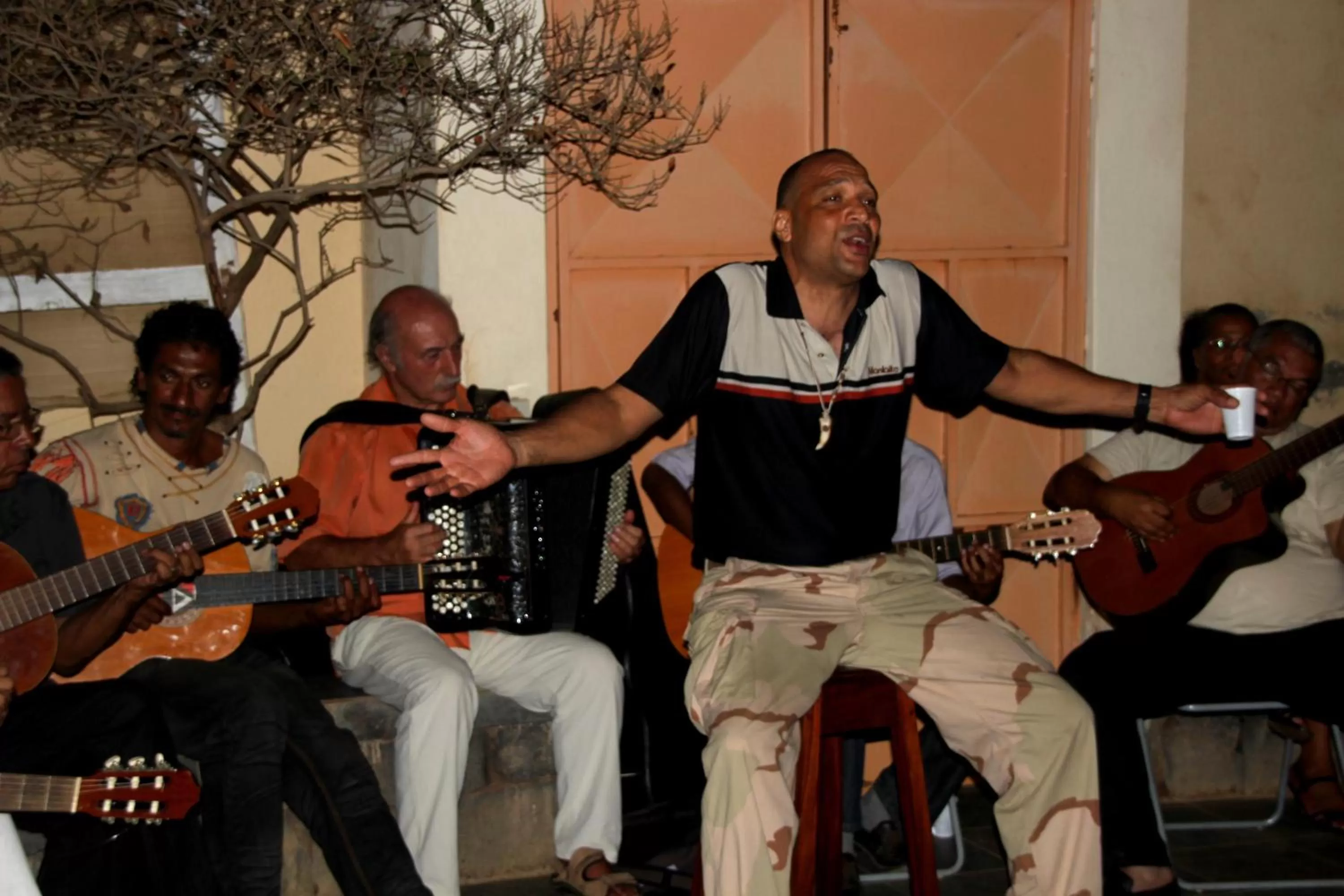 Evening entertainment, Other Activities in O Jardim do Vinho