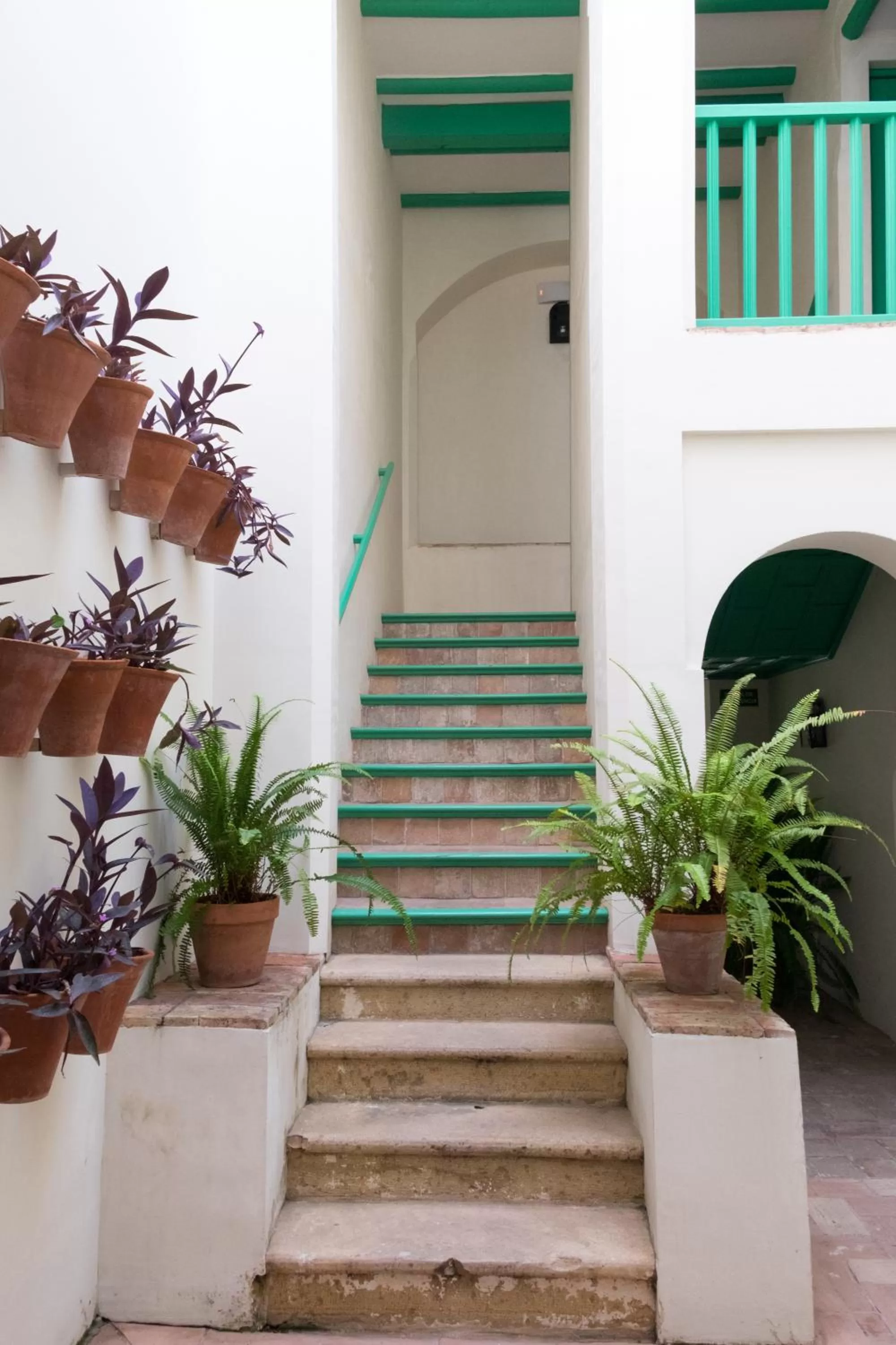 Patio in Las Casas de la Judería de Córdoba