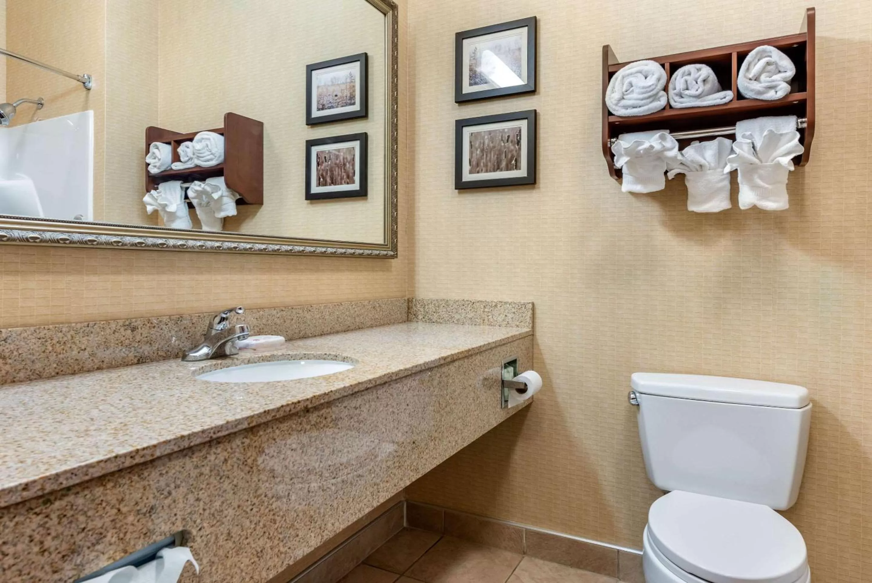 Bathroom in Comfort Suites Elkhart South
