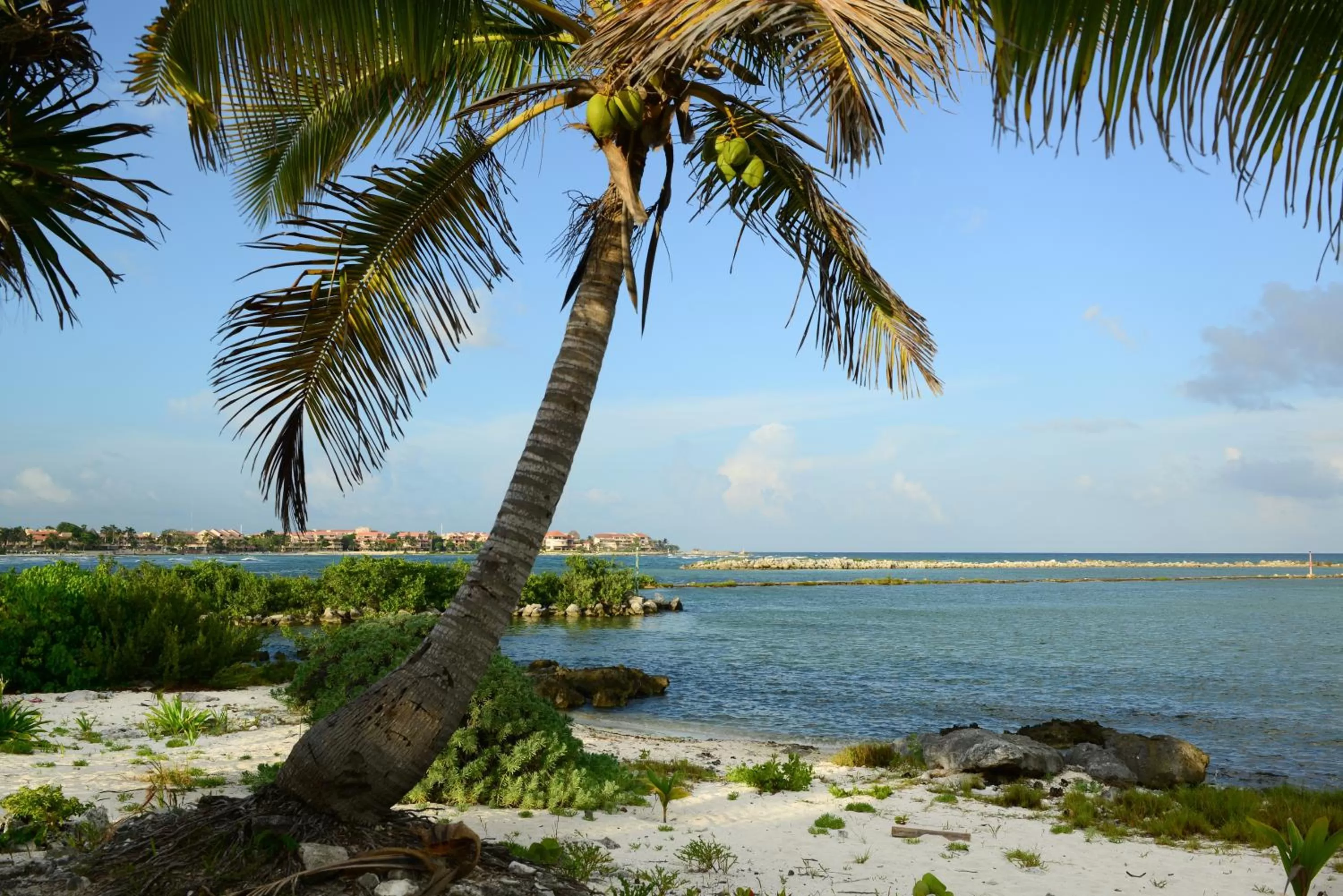 Area and facilities, Beach in B&B Mom's House
