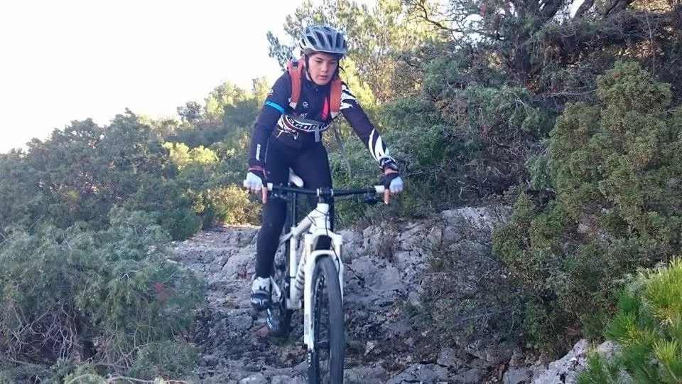 Cycling in Chambres d'Hôtes Aux Tournesols