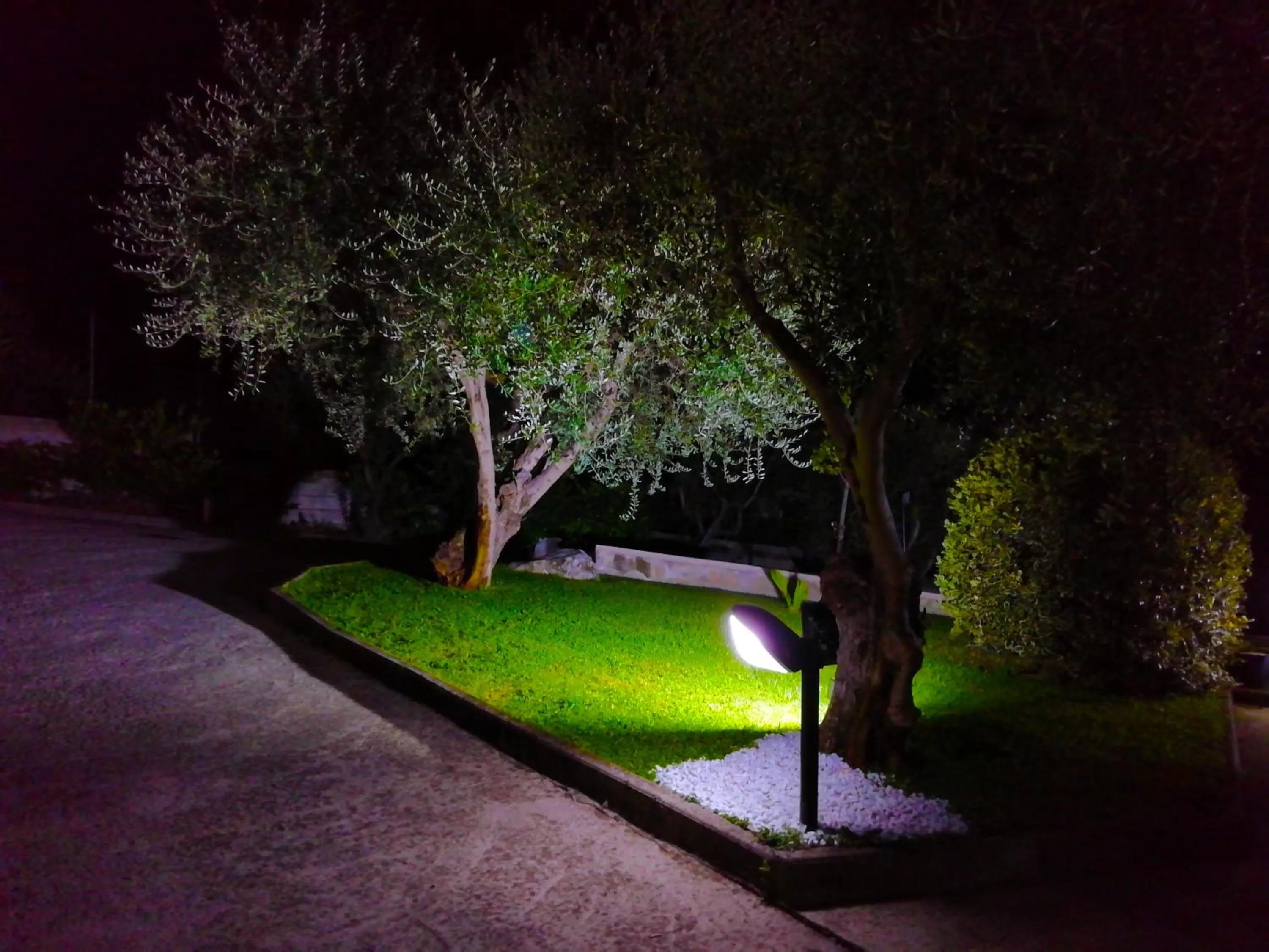 Garden in B&B Maison Villa Vittorio