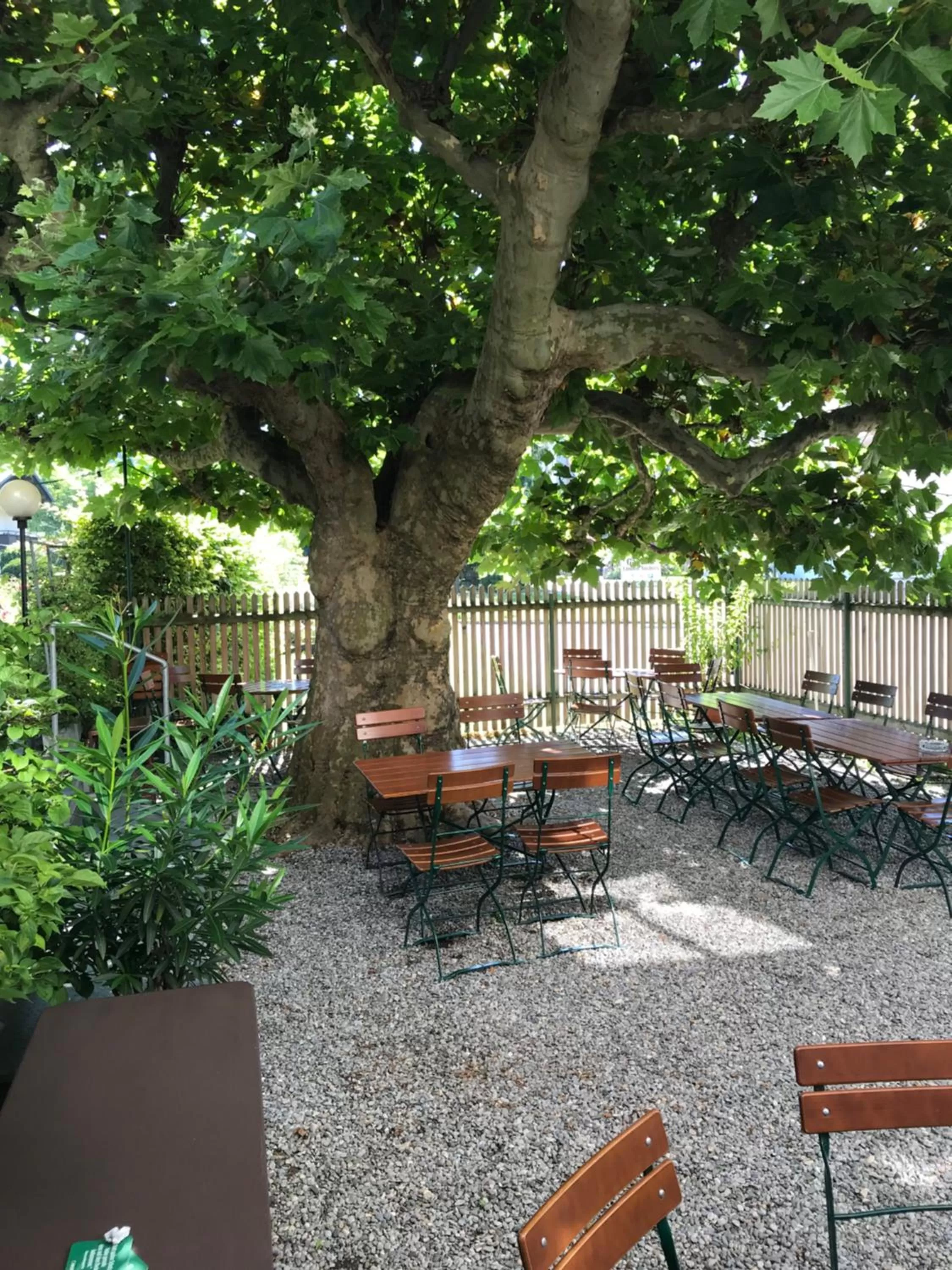 Restaurant/places to eat in Gasthof Löwen Tosters