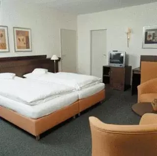 Double Room - single occupancy in Heidehotel Waldhütte Double Room - single occupancy in Heidehotel Waldhütte