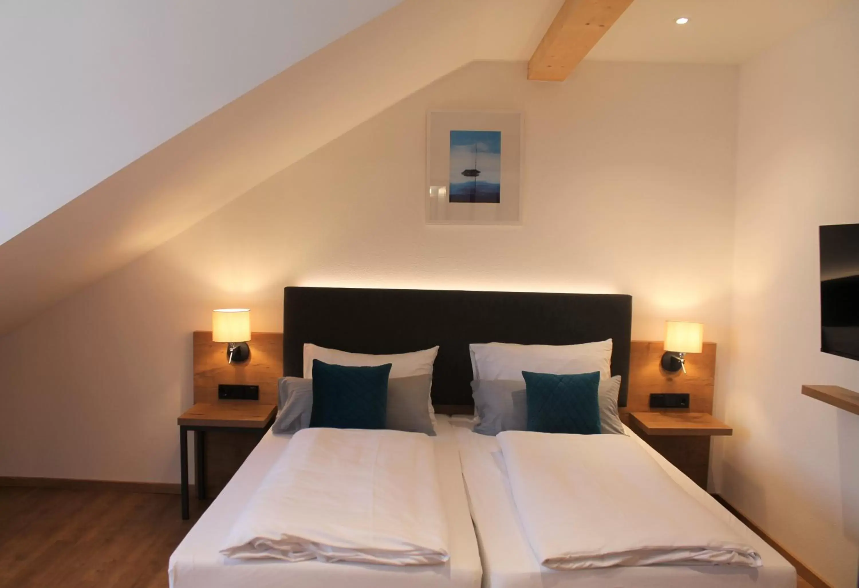 Double Room in Gasthaus Steidl Double Room in Gasthaus Steidl