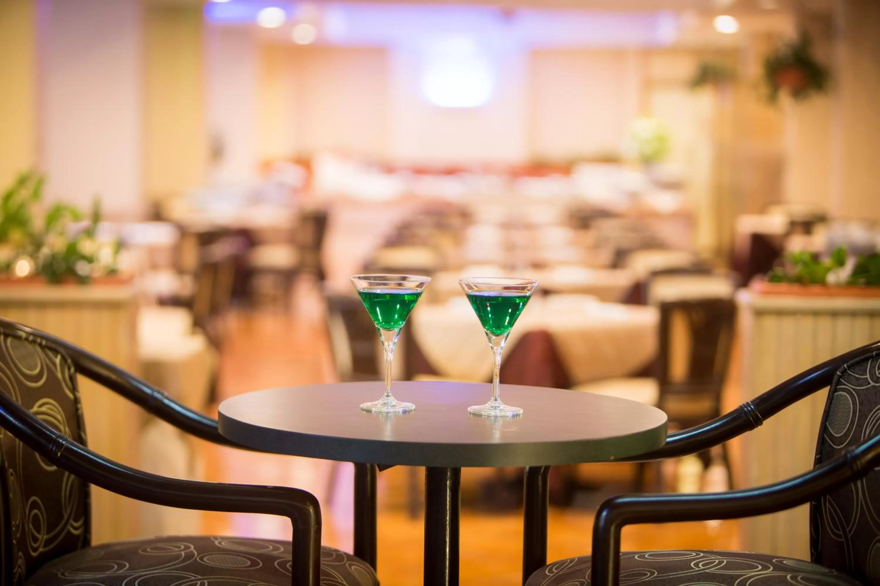 Lounge or bar in Best Western Plus Hotel Terraza