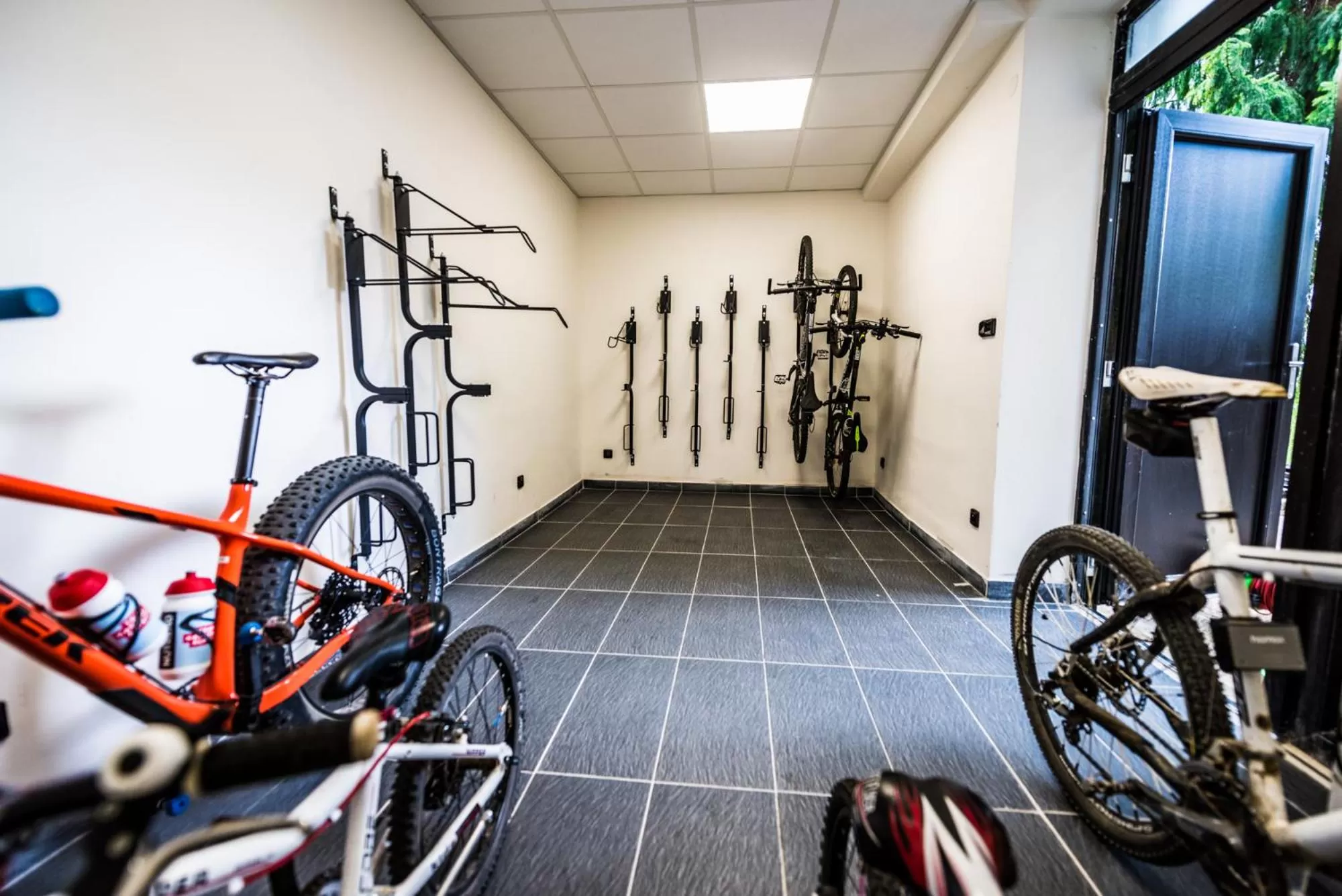 Activities in Hotel Kras