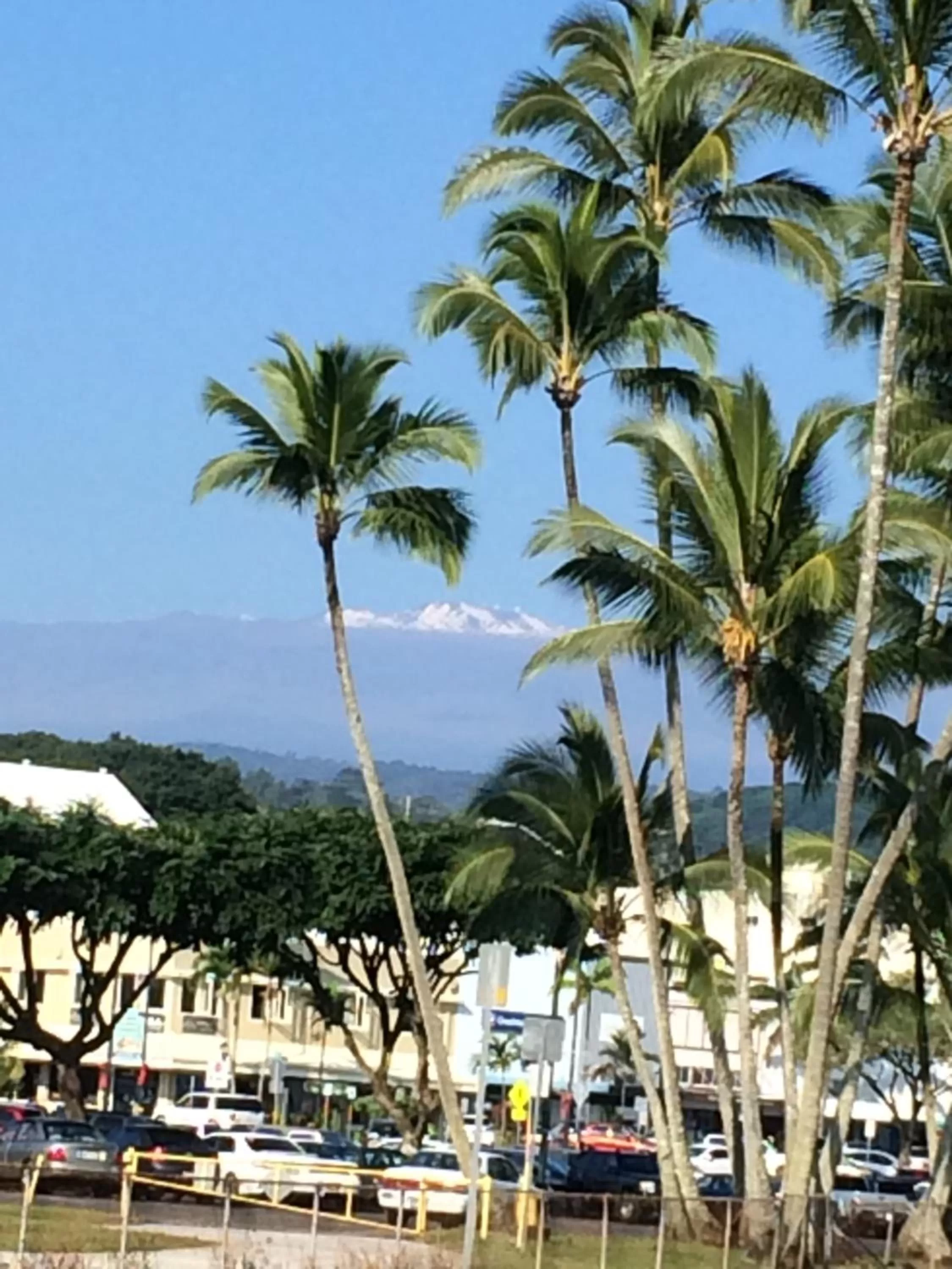 Activities in Hilo Bay Oceanfront Bed and Breakfast