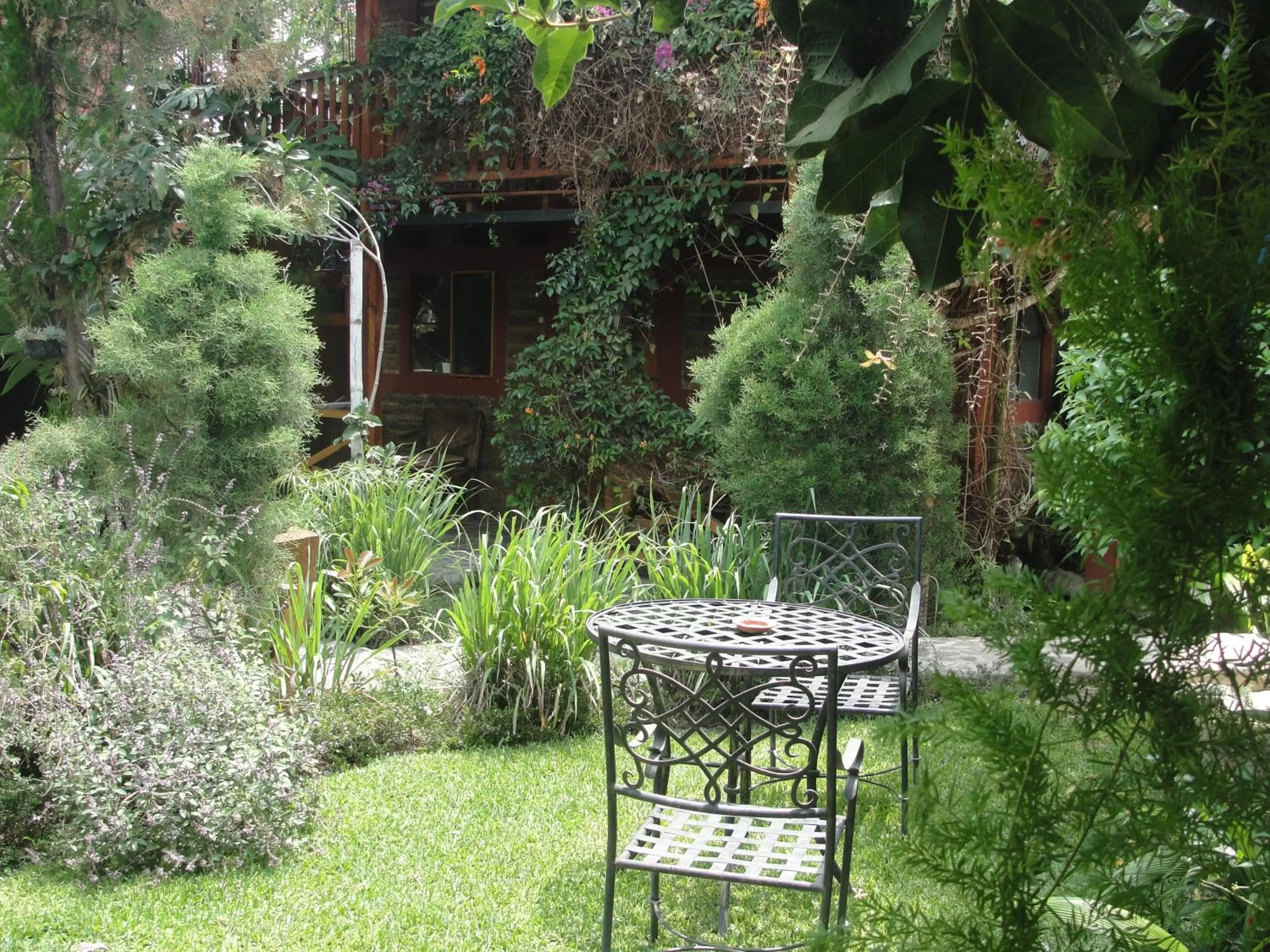 Garden in Hotel Utz Jay