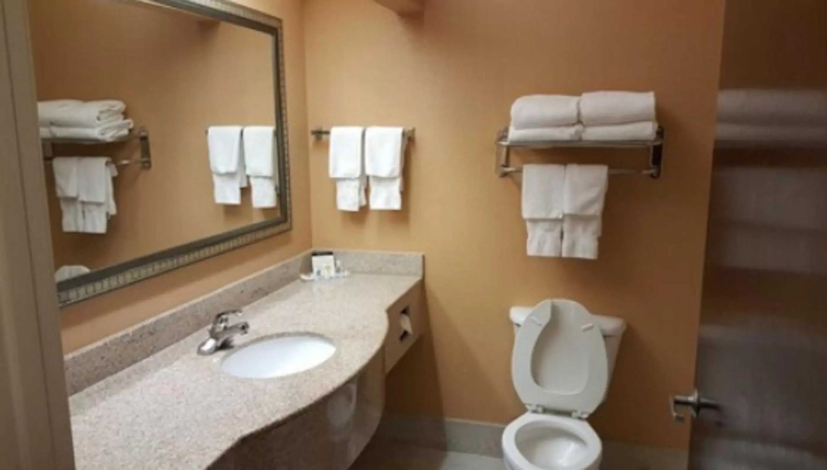 King Suite with Shower - Accessible/Non-Smoking in Comfort Suites Daphne - Mobile East Bay King Suite with Shower - Accessible/Non-Smoking in Comfort Suites Daphne - Mobile East Bay