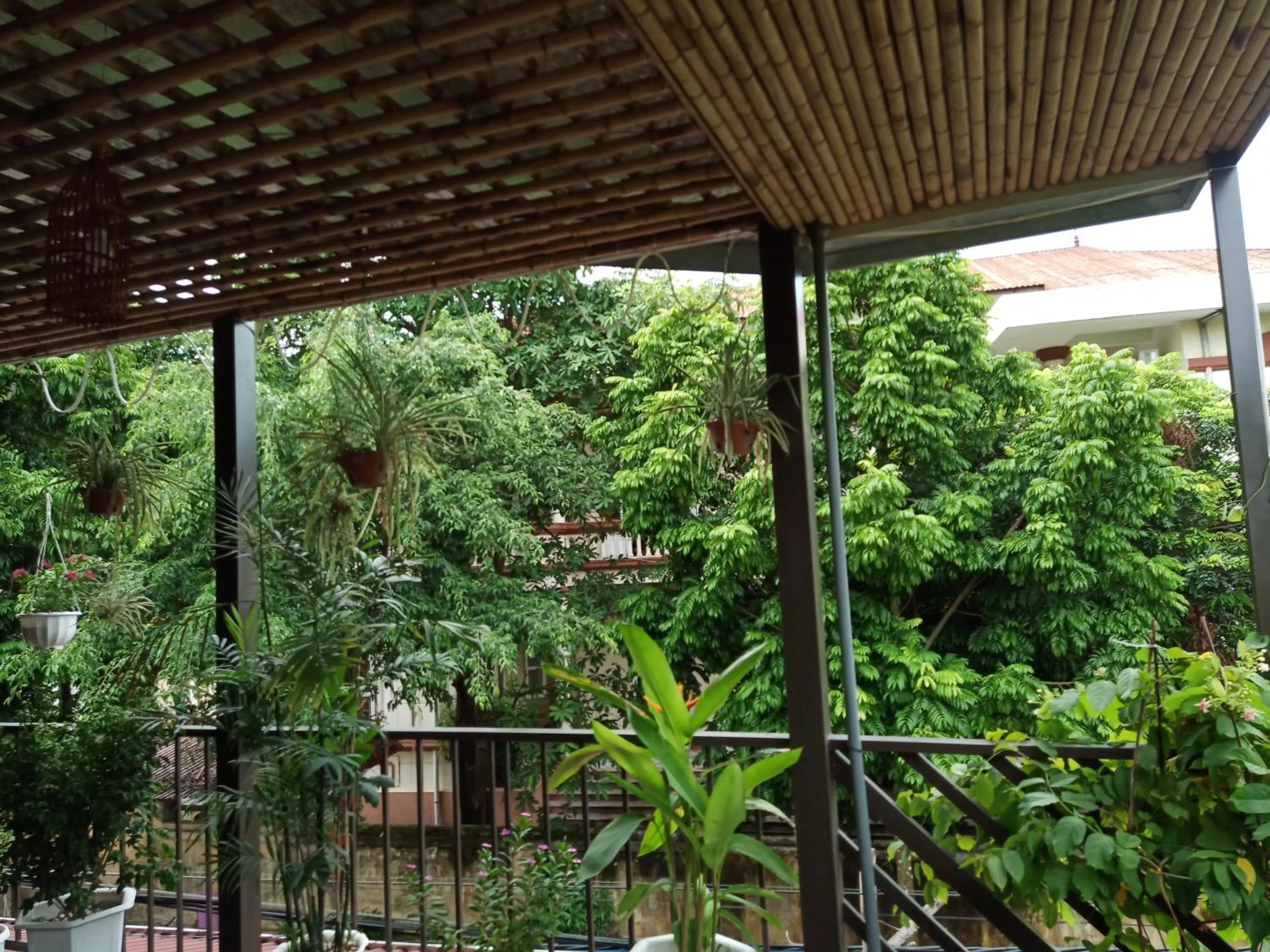 Balcony/Terrace in Green Space Homestay