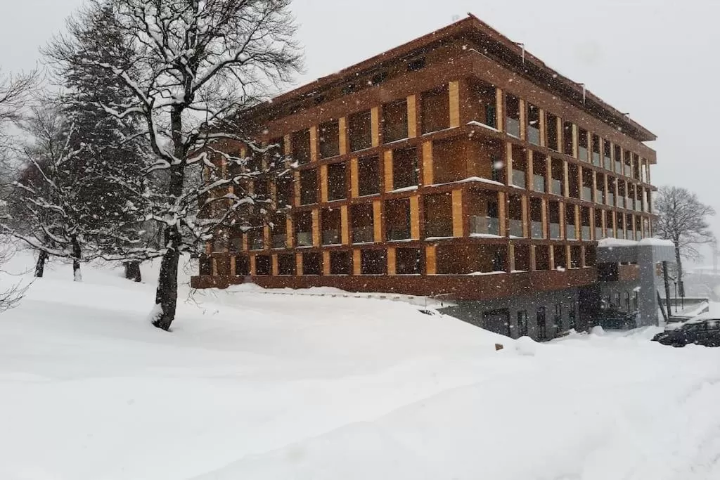 Winter in Bakuriani the Valley 115 - 202