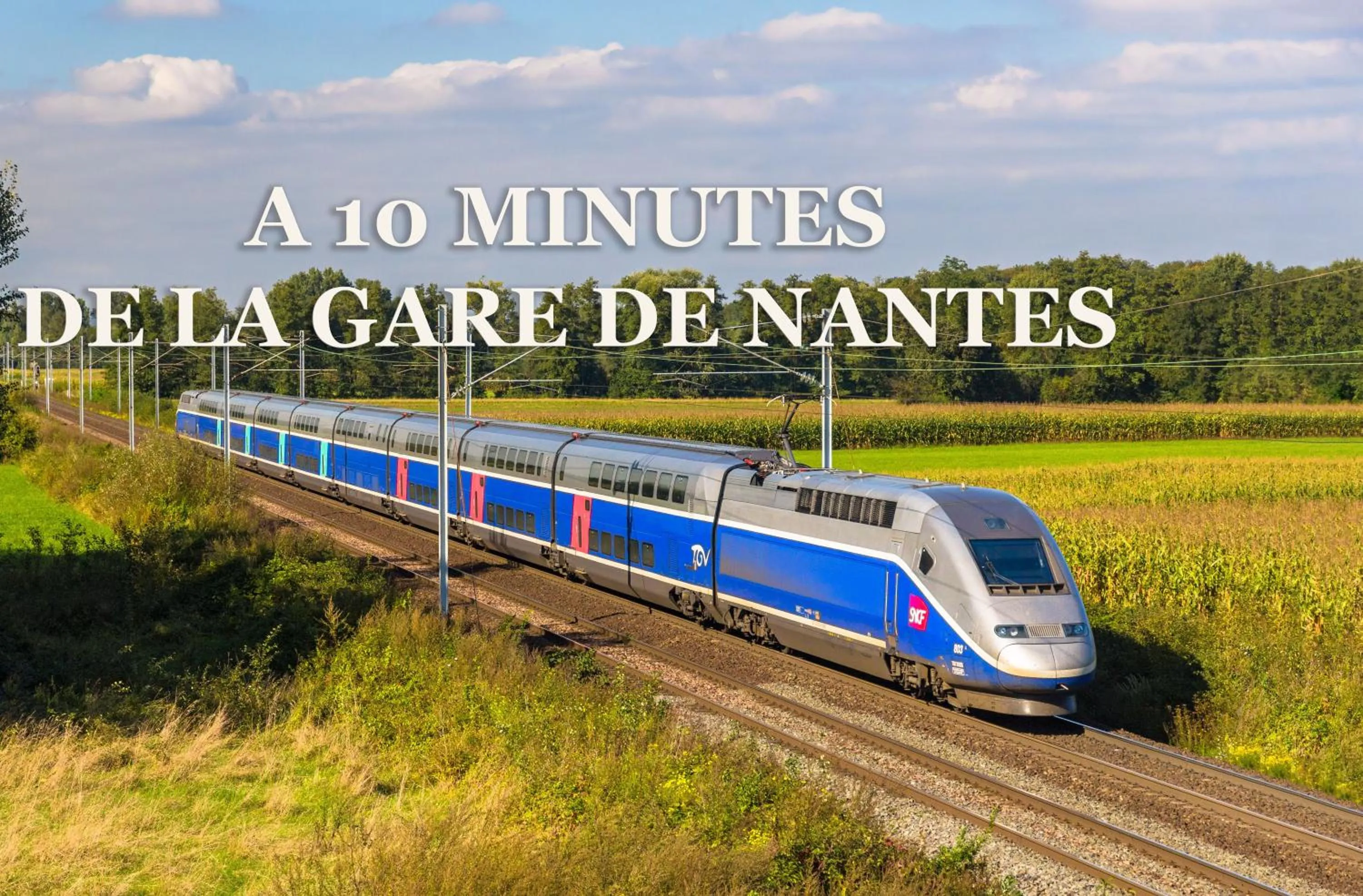 Nearby landmark in ibis Styles Nantes Centre Place Royale