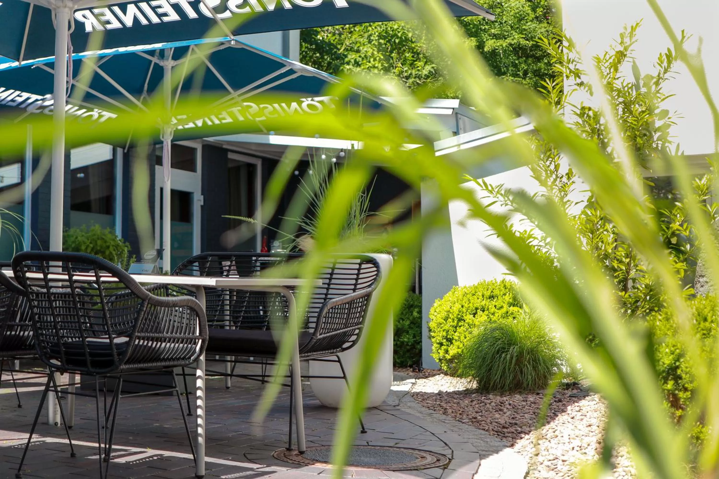 Patio in Hotel Haverkamp