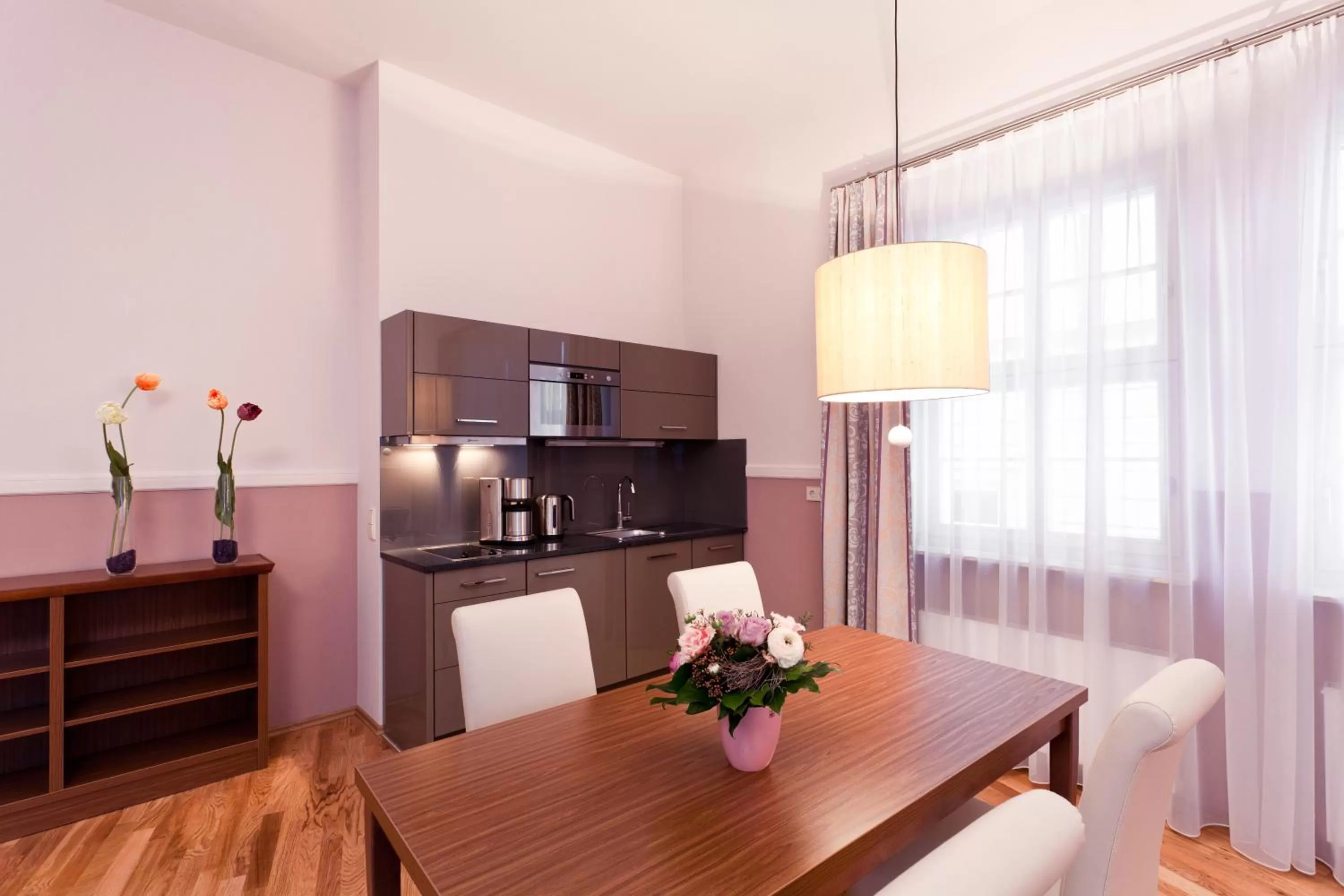 Kitchen or kitchenette in Aparthotel Am Schloss