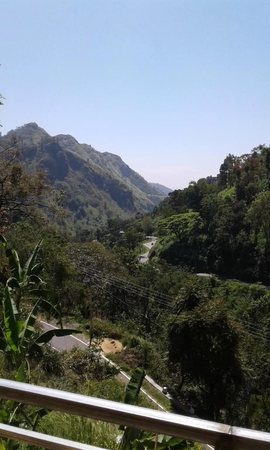 Ella Lucky Panoramic