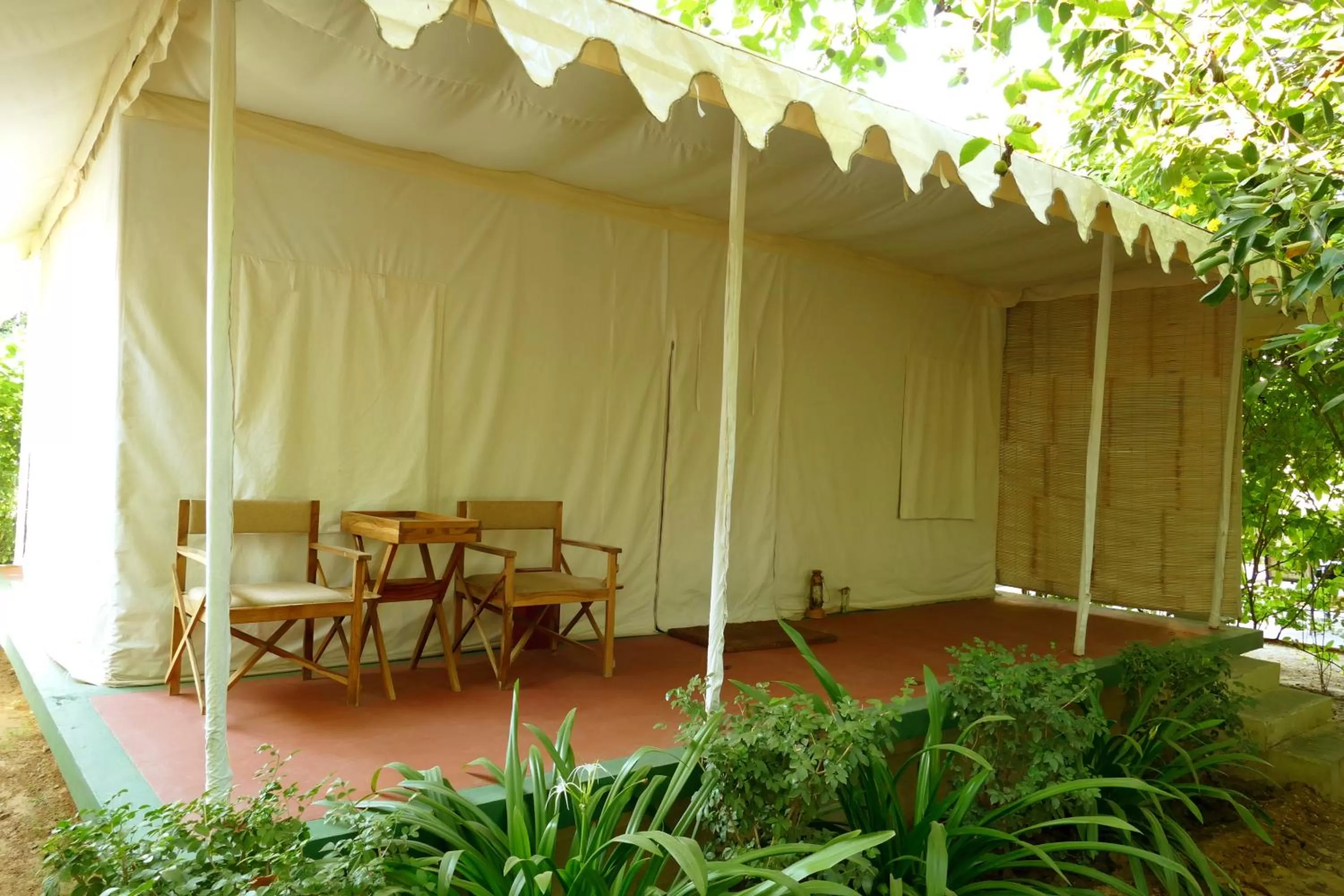 View (from property/room) in Madho Bagh