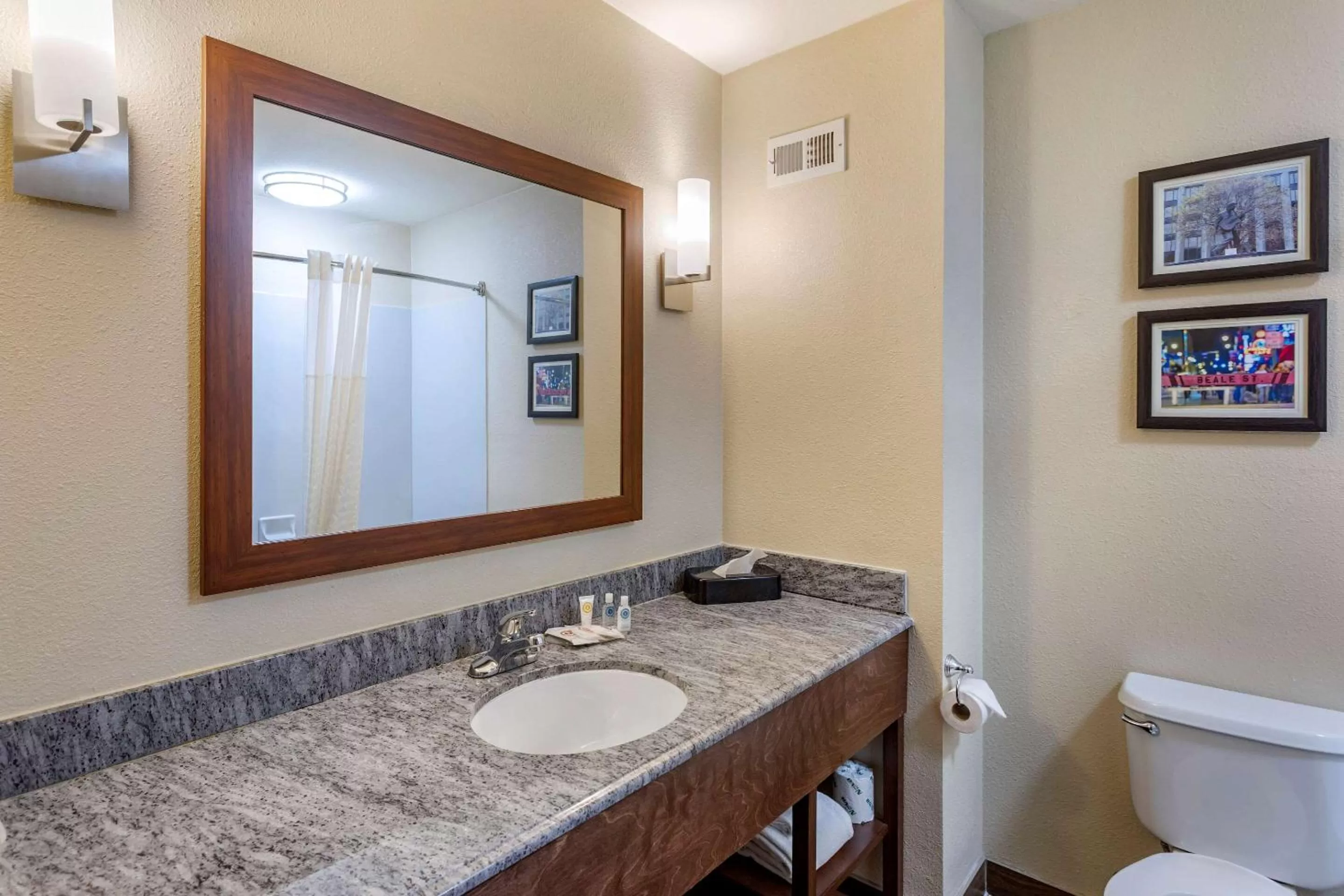 Bathroom in Comfort Inn & Suites Atoka-Millington