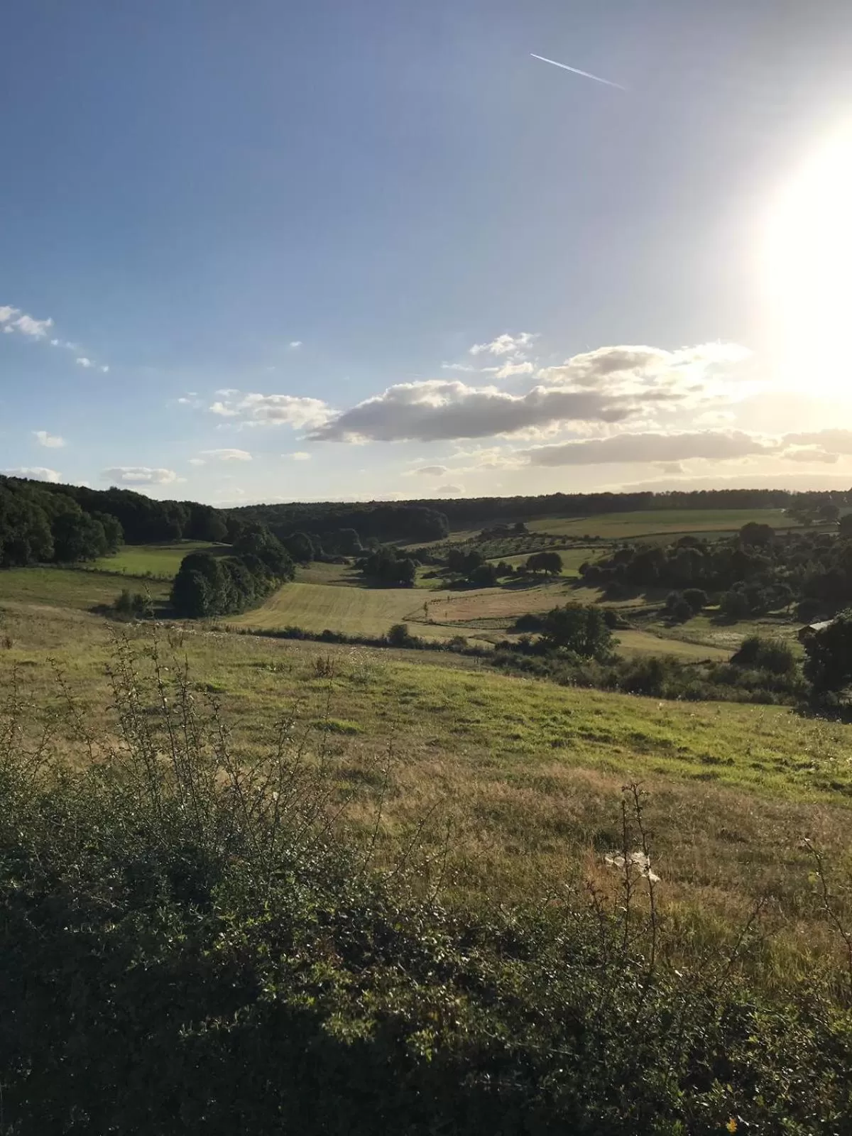 Natural Landscape in B&B Holset70