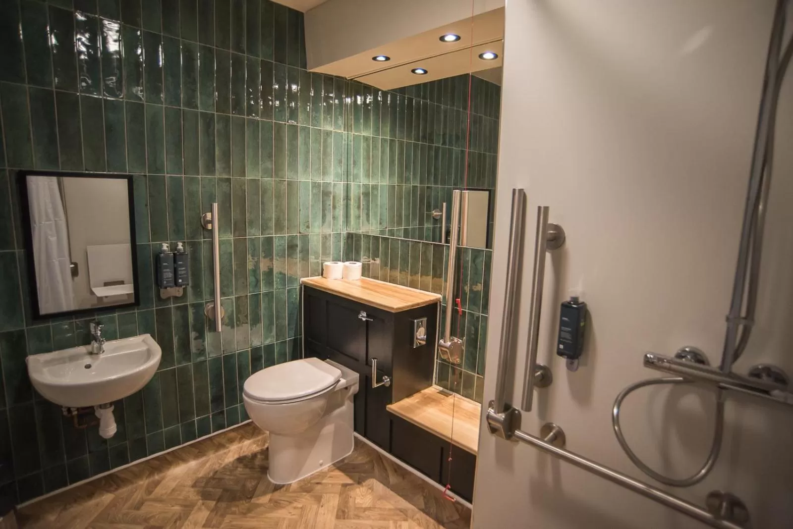 Shower in Cat & Lion Country Pub and Hotel