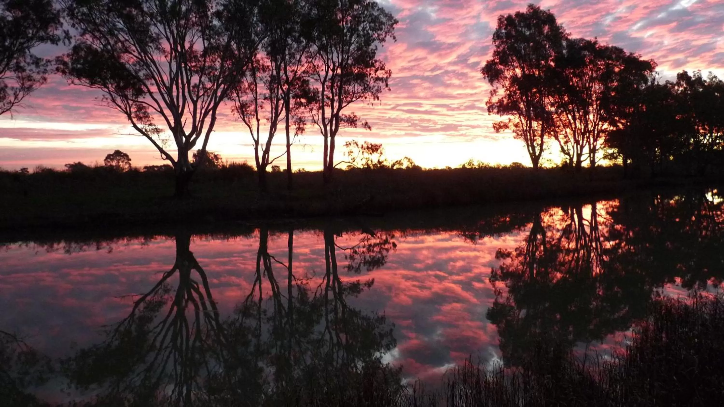 Natural landscape in Loddon River Motel Kerang