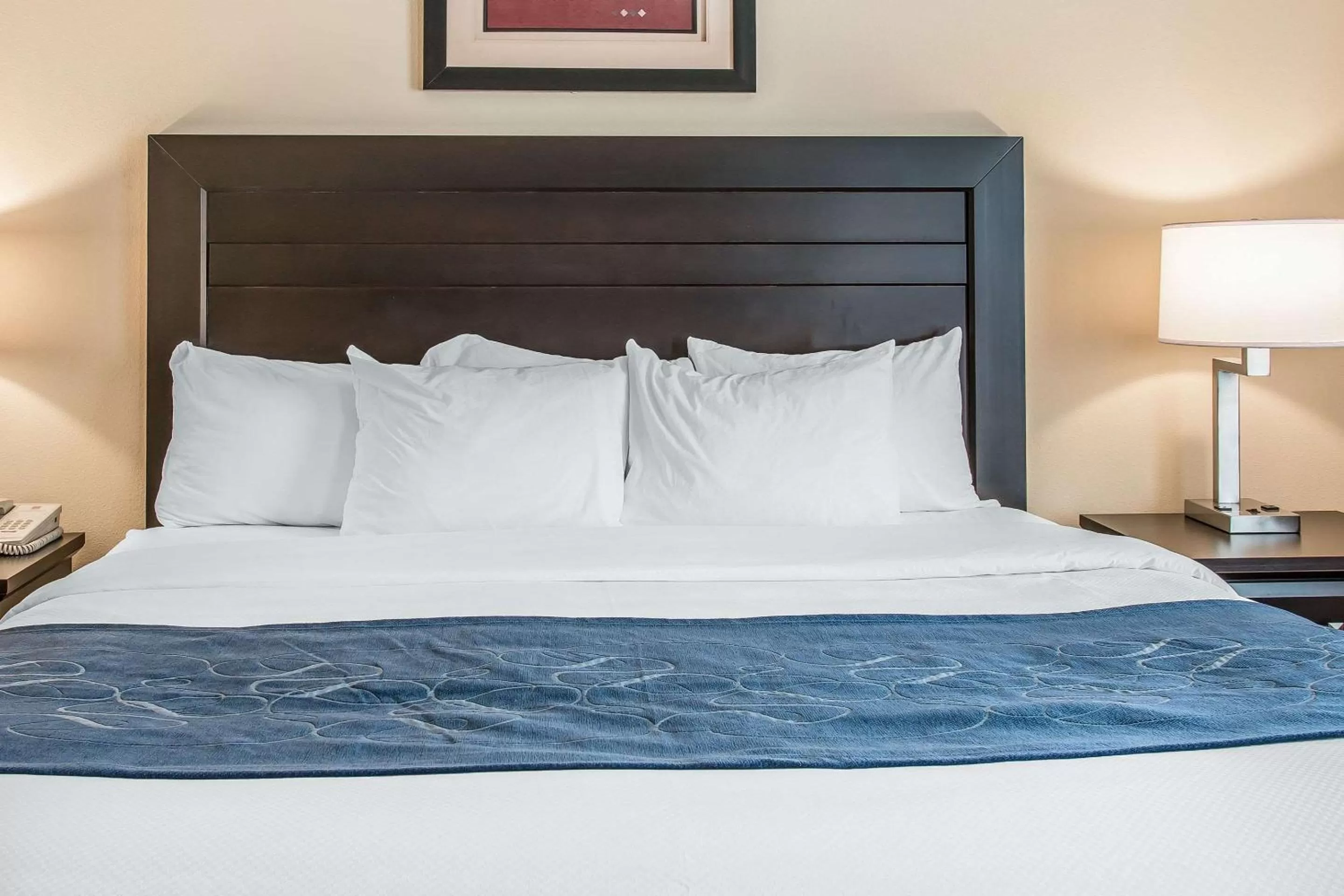 Photo of the whole room, Bed in Comfort Suites South Bend Near Casino