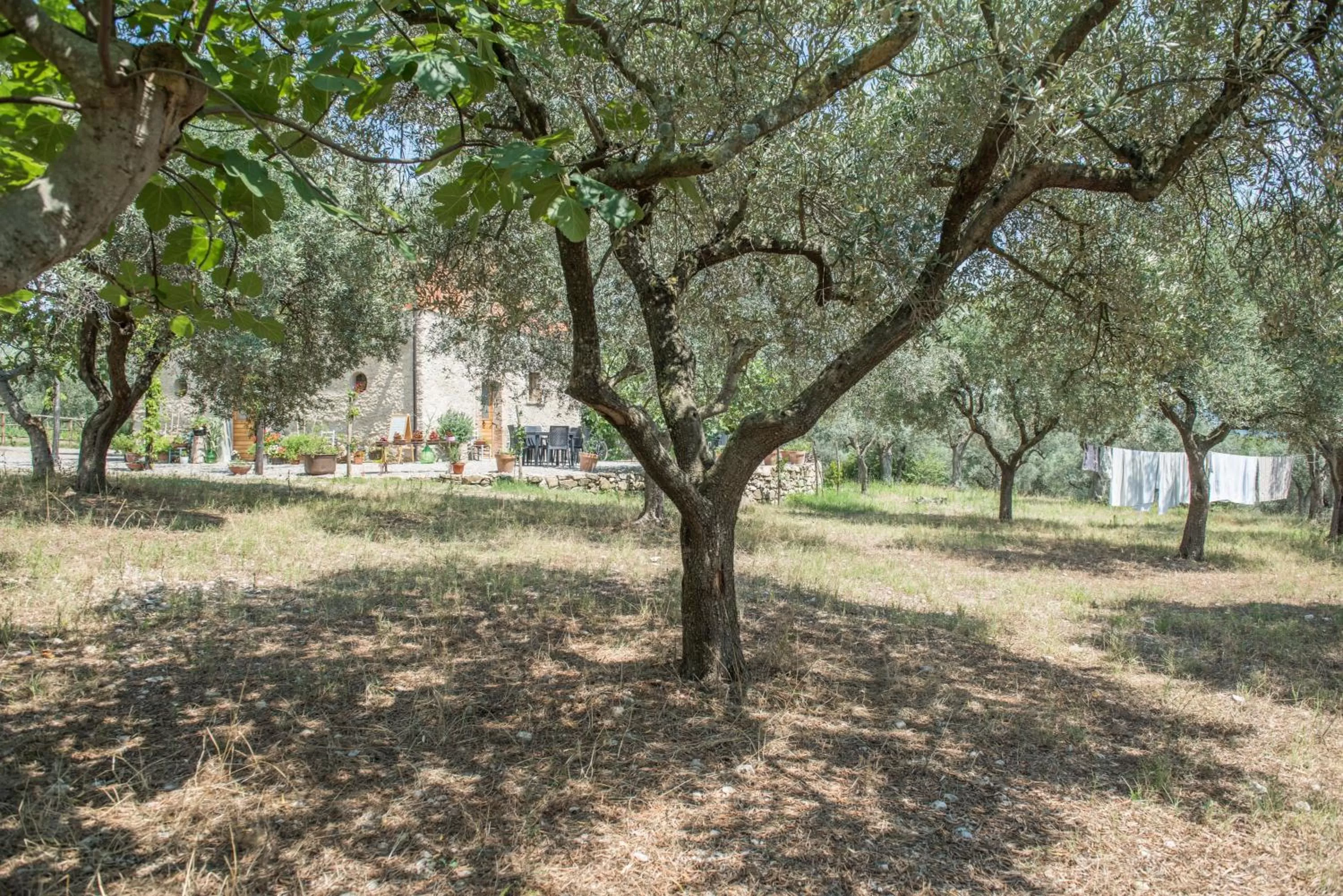 Facade/entrance, Garden in B&B Rifugio tra gli Ulivi
