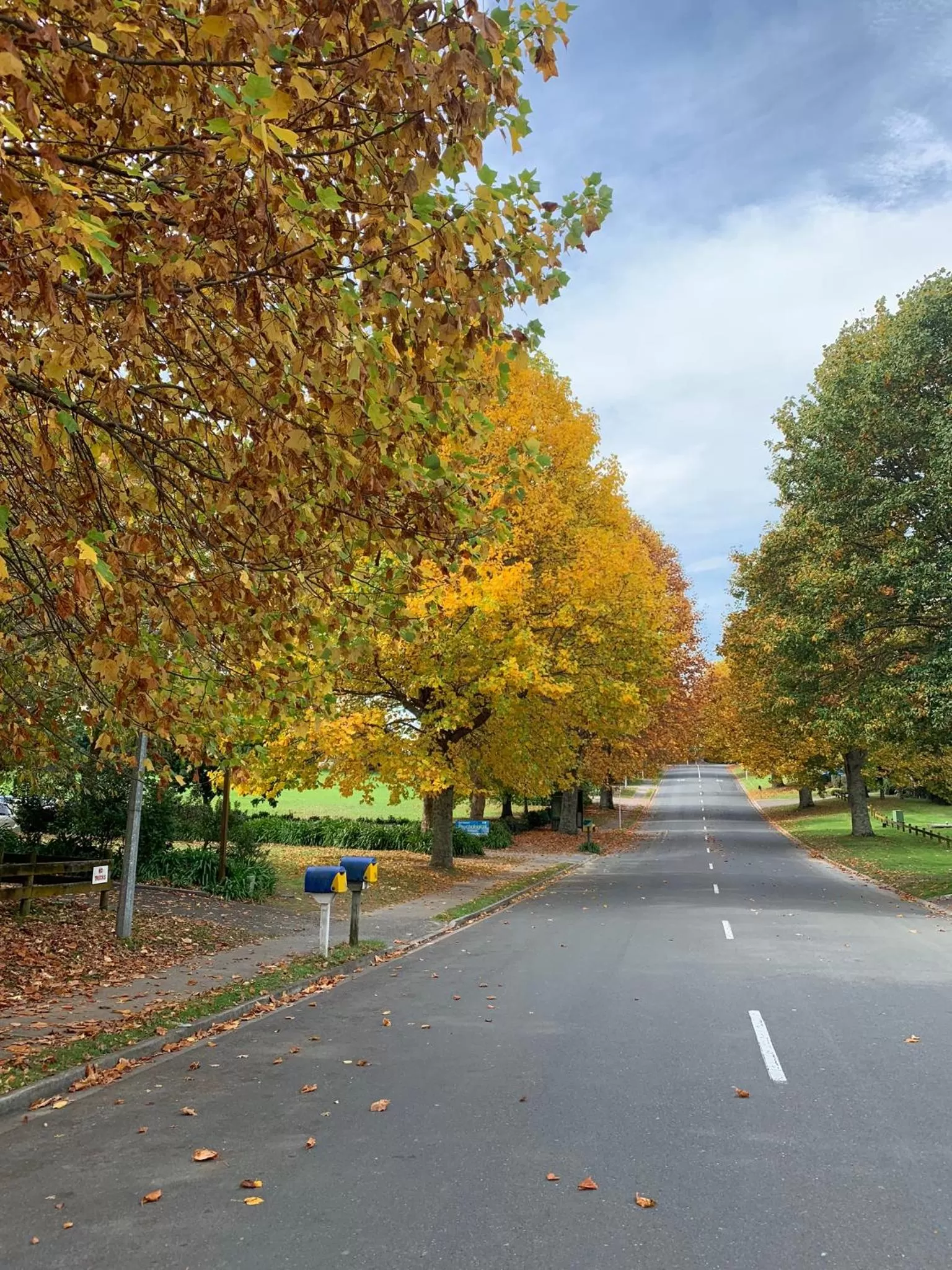 Other in Arohanui Rural Retreat B&B