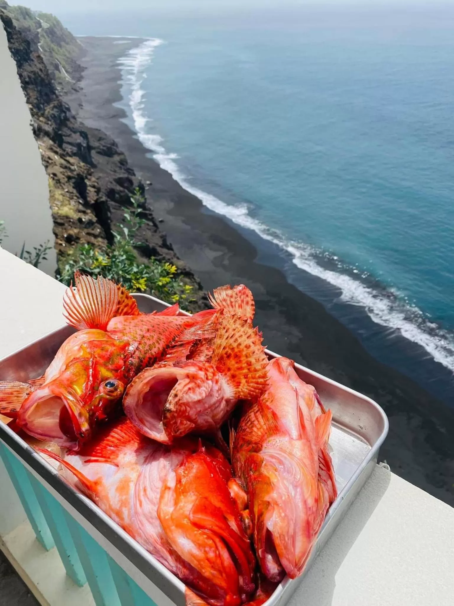 Restaurant/places to eat in Fogo Boutique Hotel