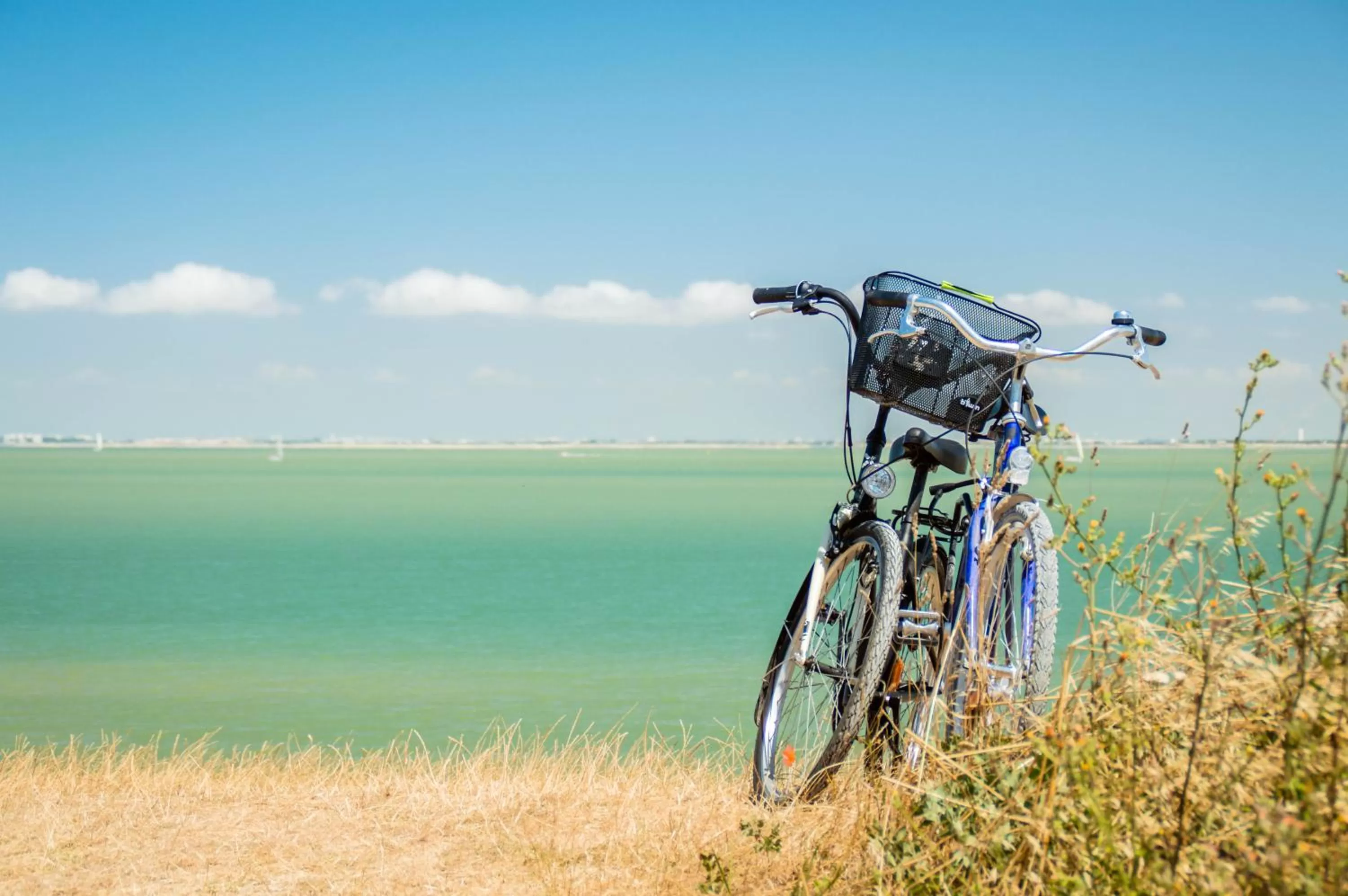 Natural landscape in L'esprit du 8