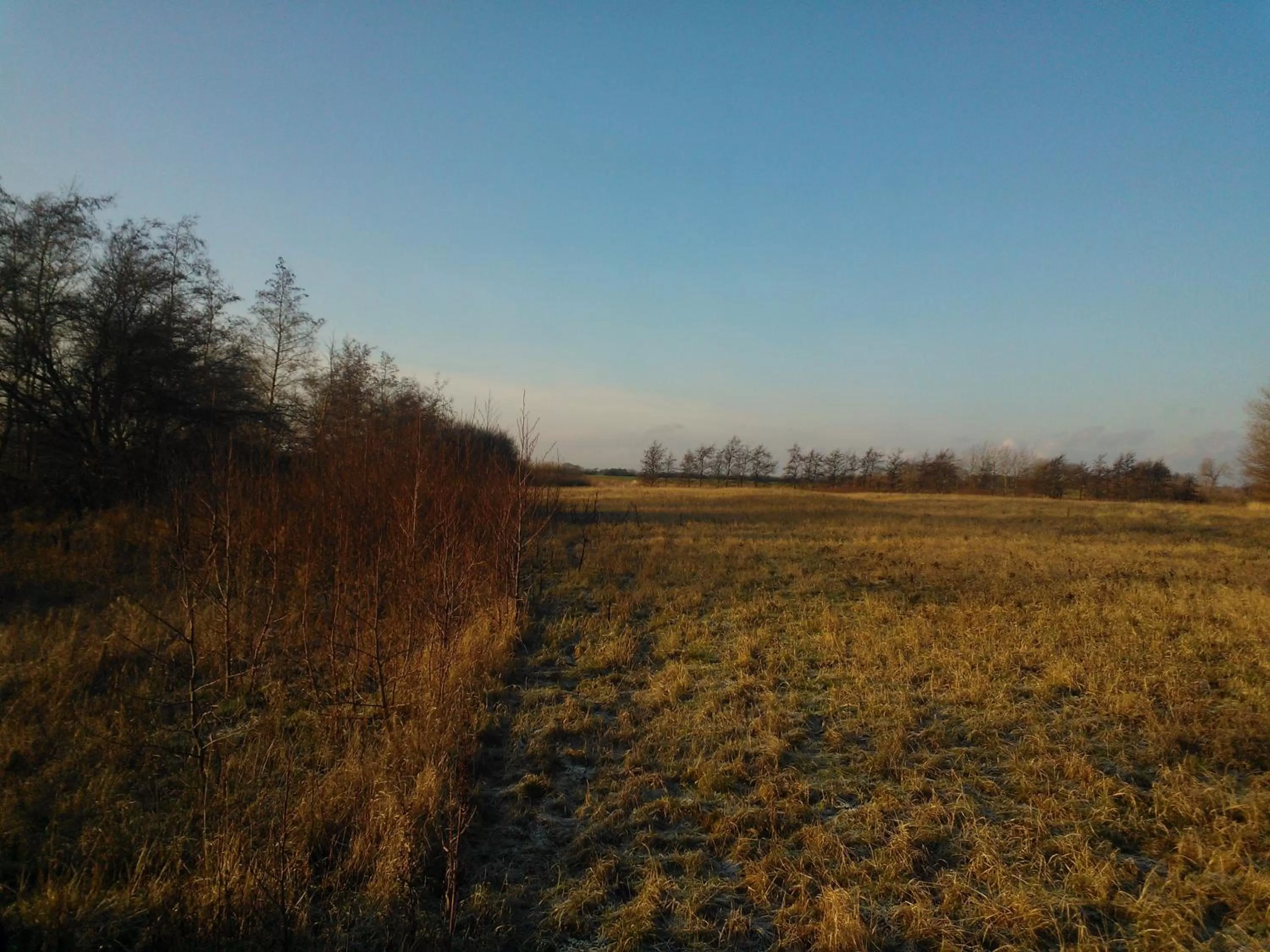 Holmehuset Bed & Breakfast