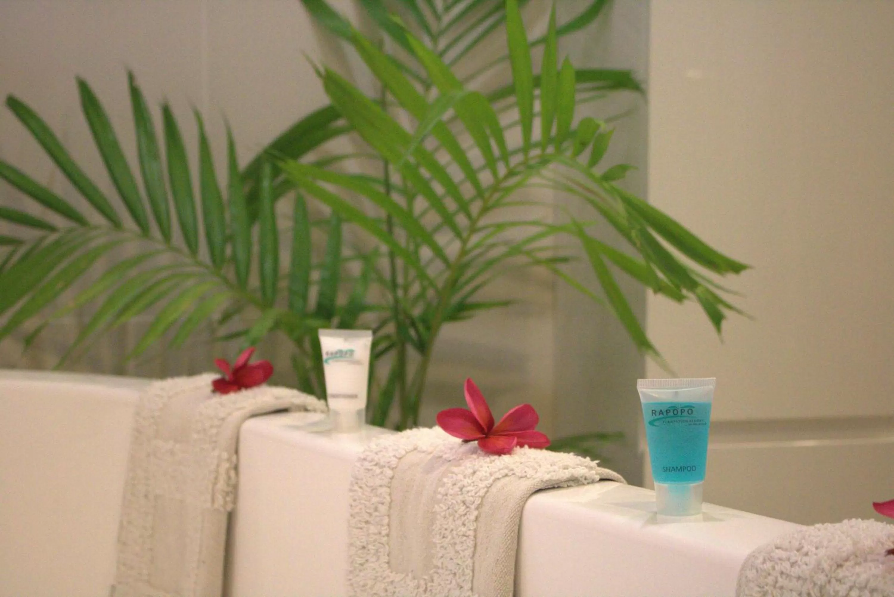 Decorative detail in Rapopo Plantation Resort