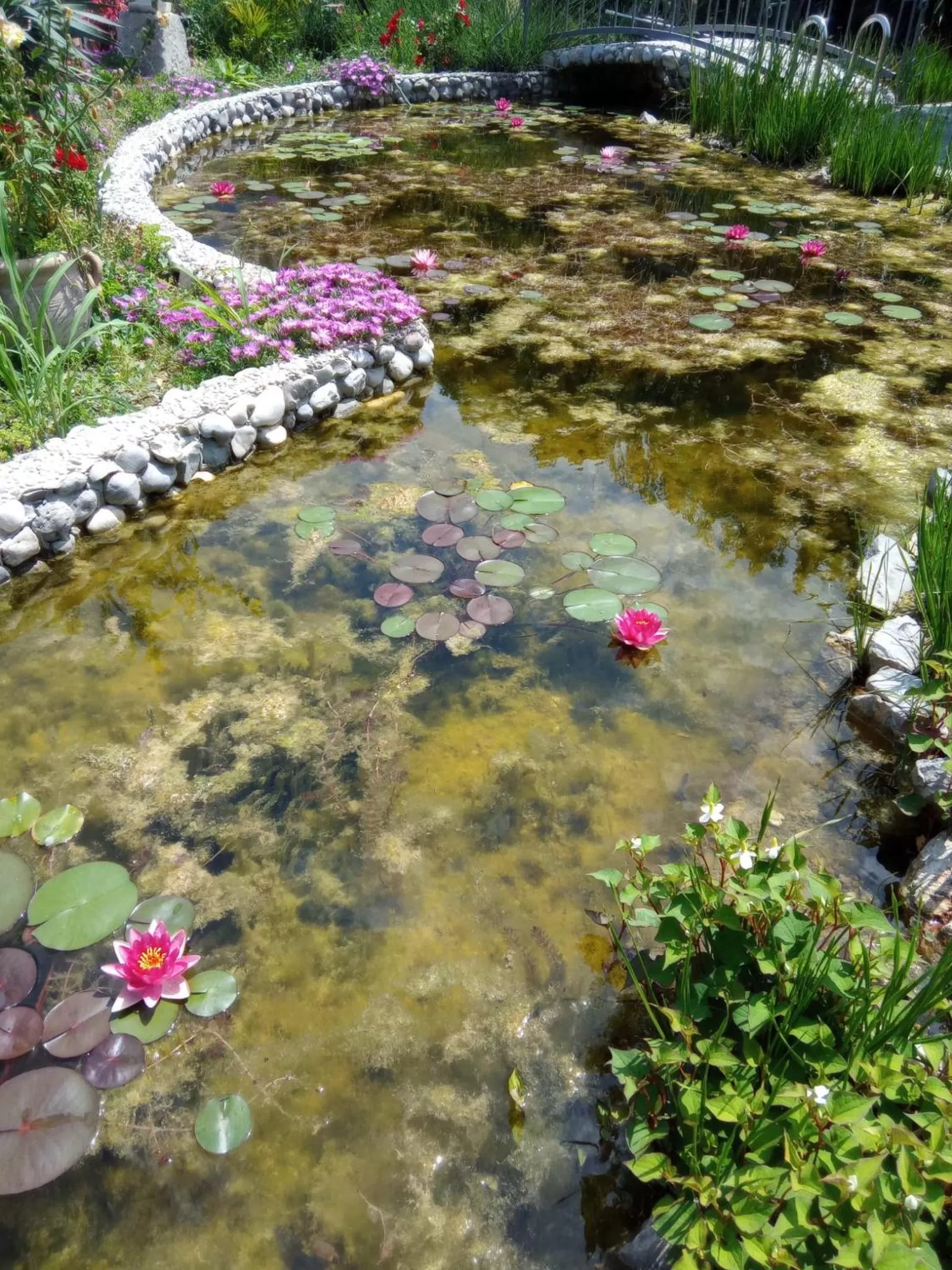 Garden in Villa Fiorita