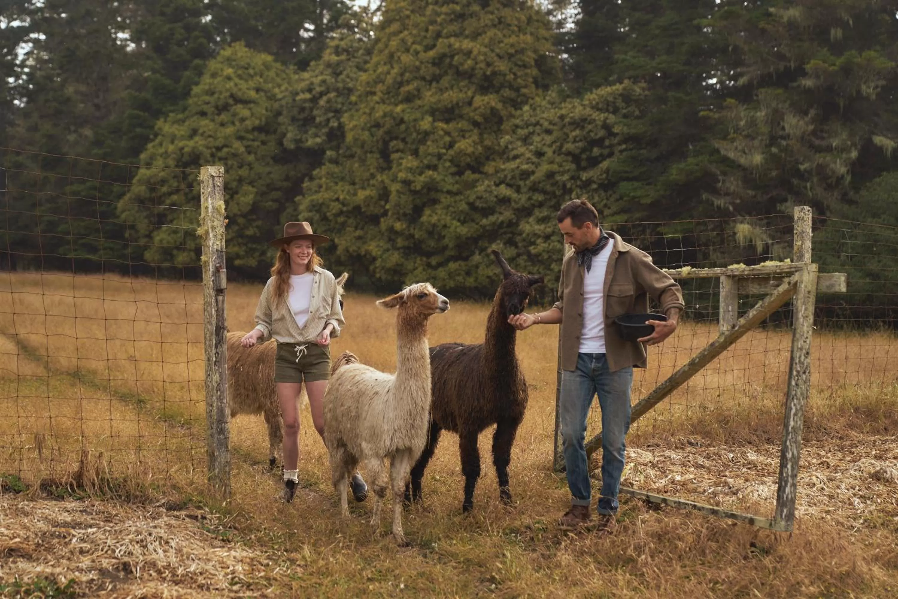 Animals in SCP Mendocino Inn and Farm