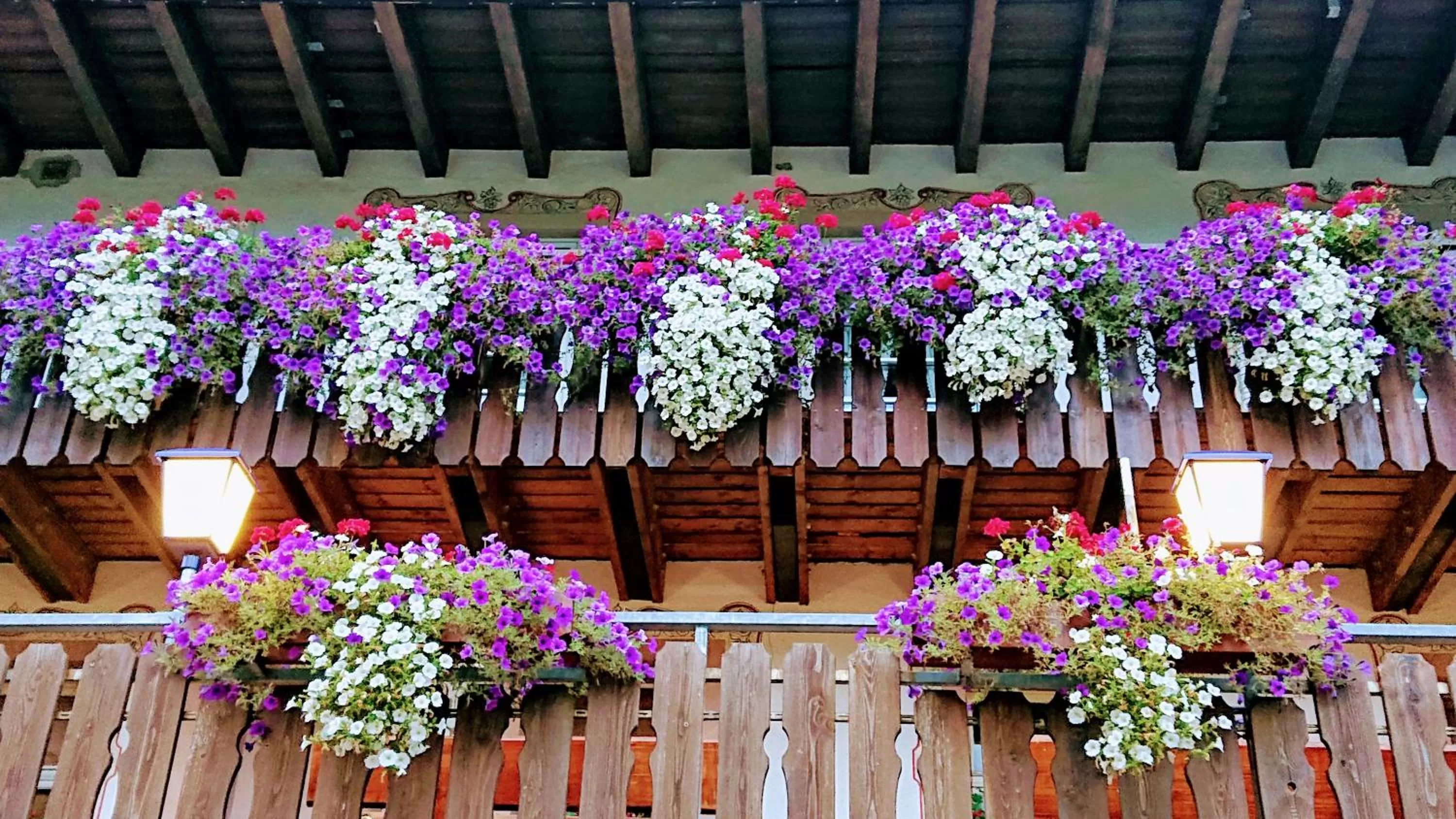 Balcony/Terrace in ZUR TRAUBE Schwarzwaldhotel & Restaurant am Titisee