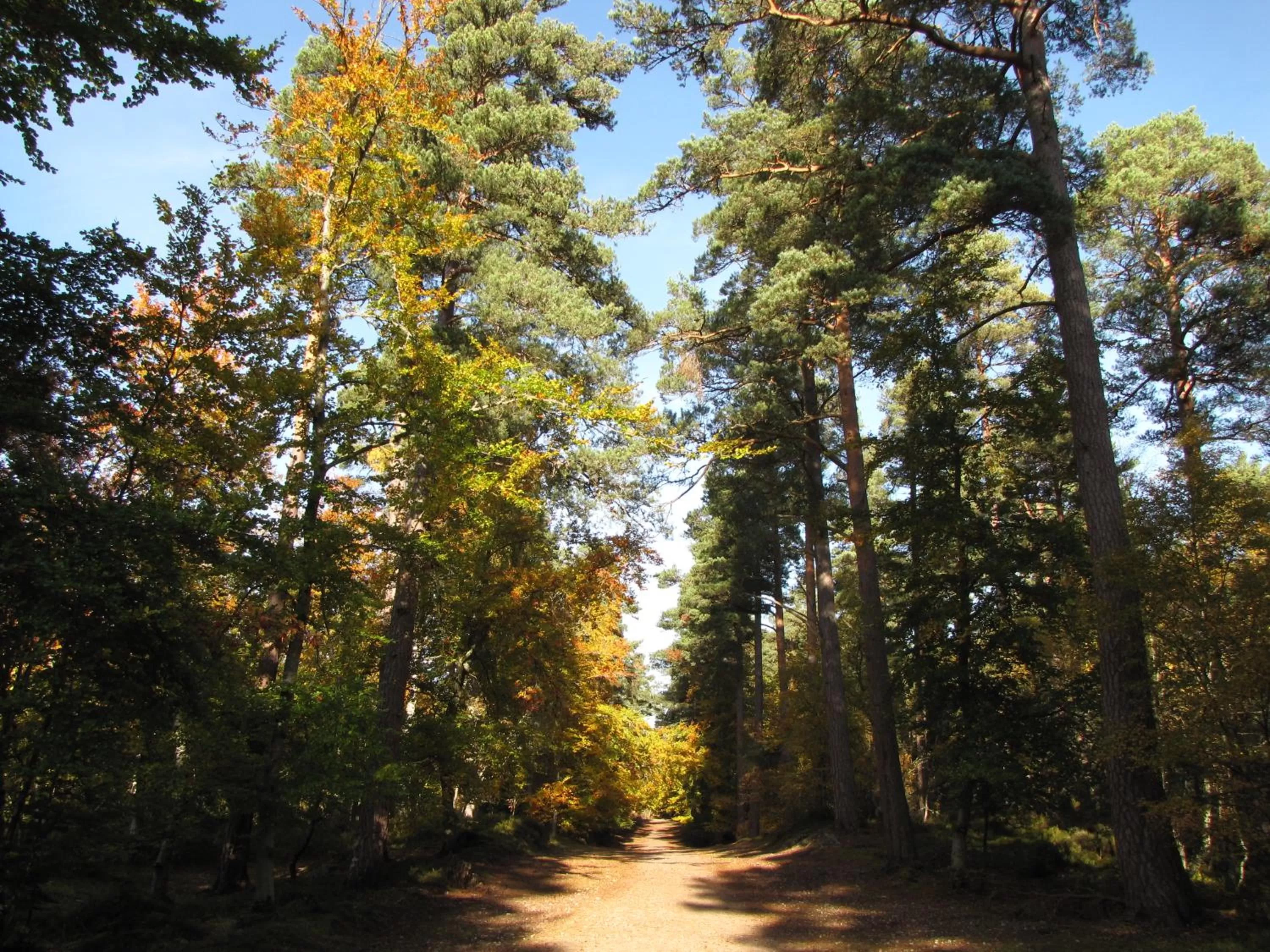 Natural landscape in Grant Arms Hotel