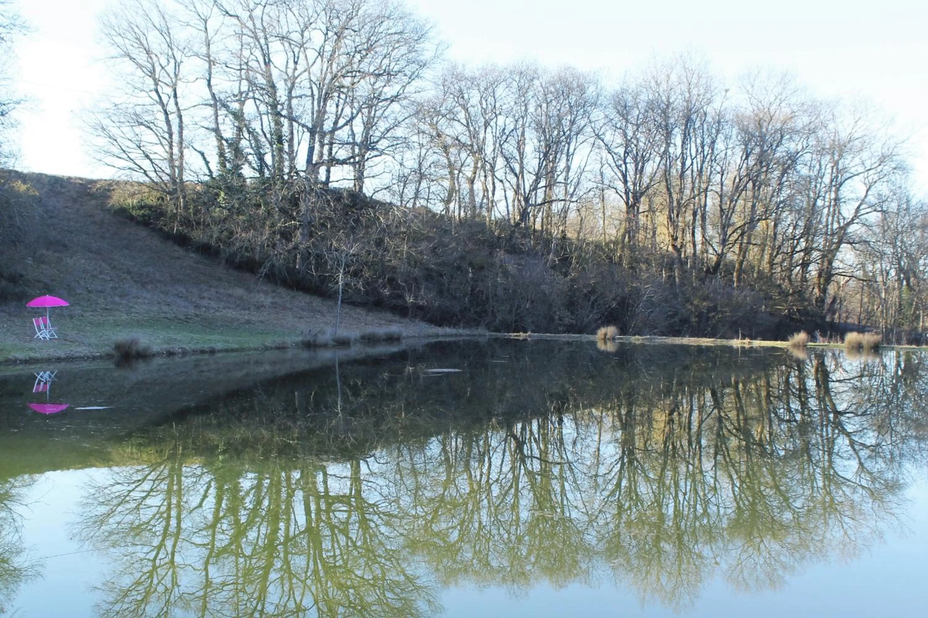 Natural Landscape in Domaine de la Couderquié