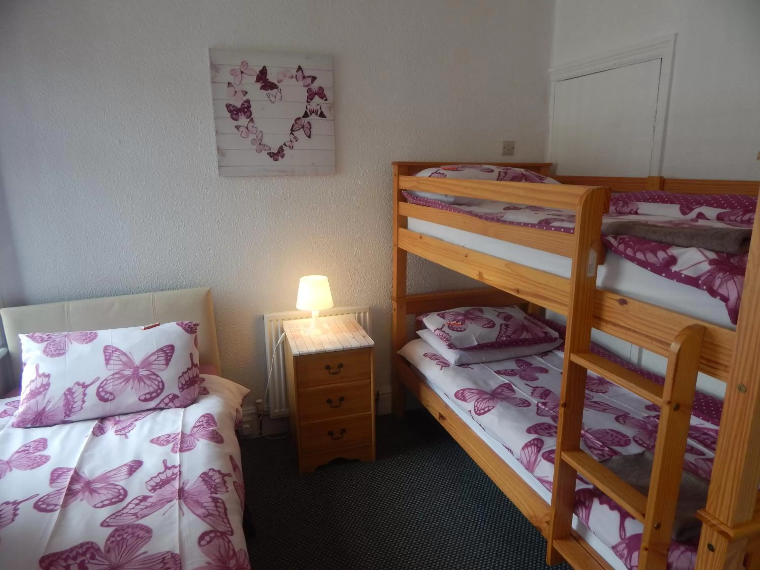 Bunk Bed in Llanryan Guest House