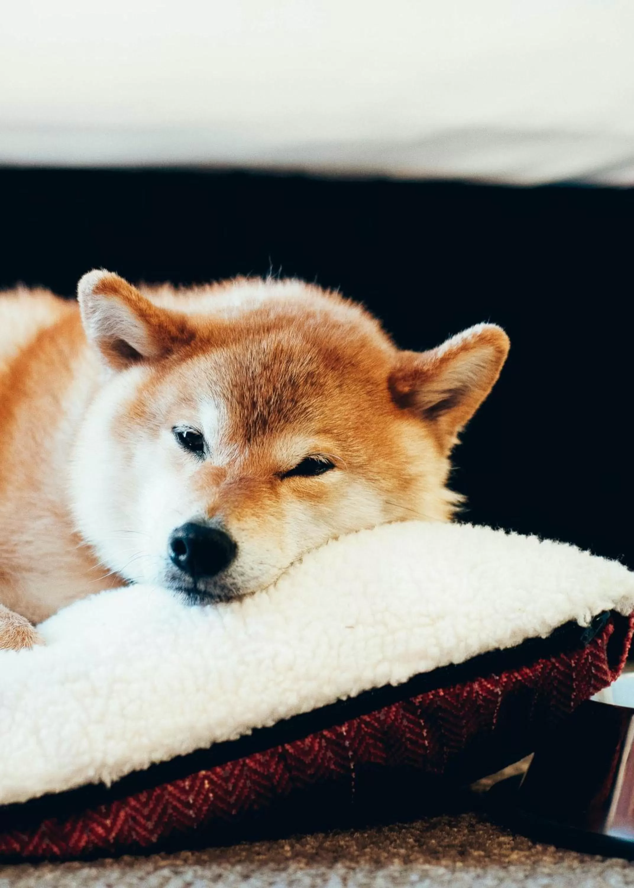 Other in Summit Lodge Boutique Hotel by Paradox