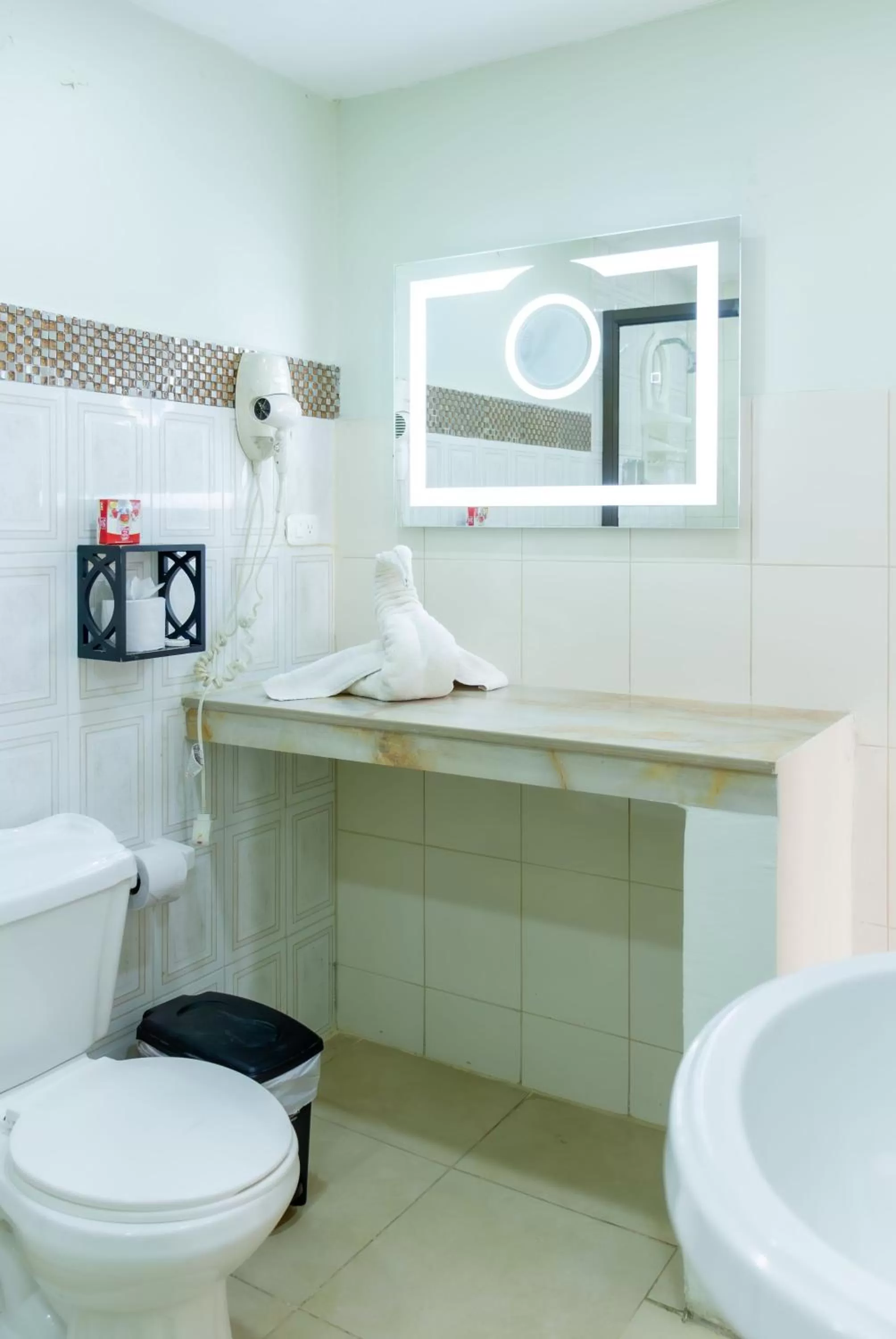 Toilet in Hostal Antares