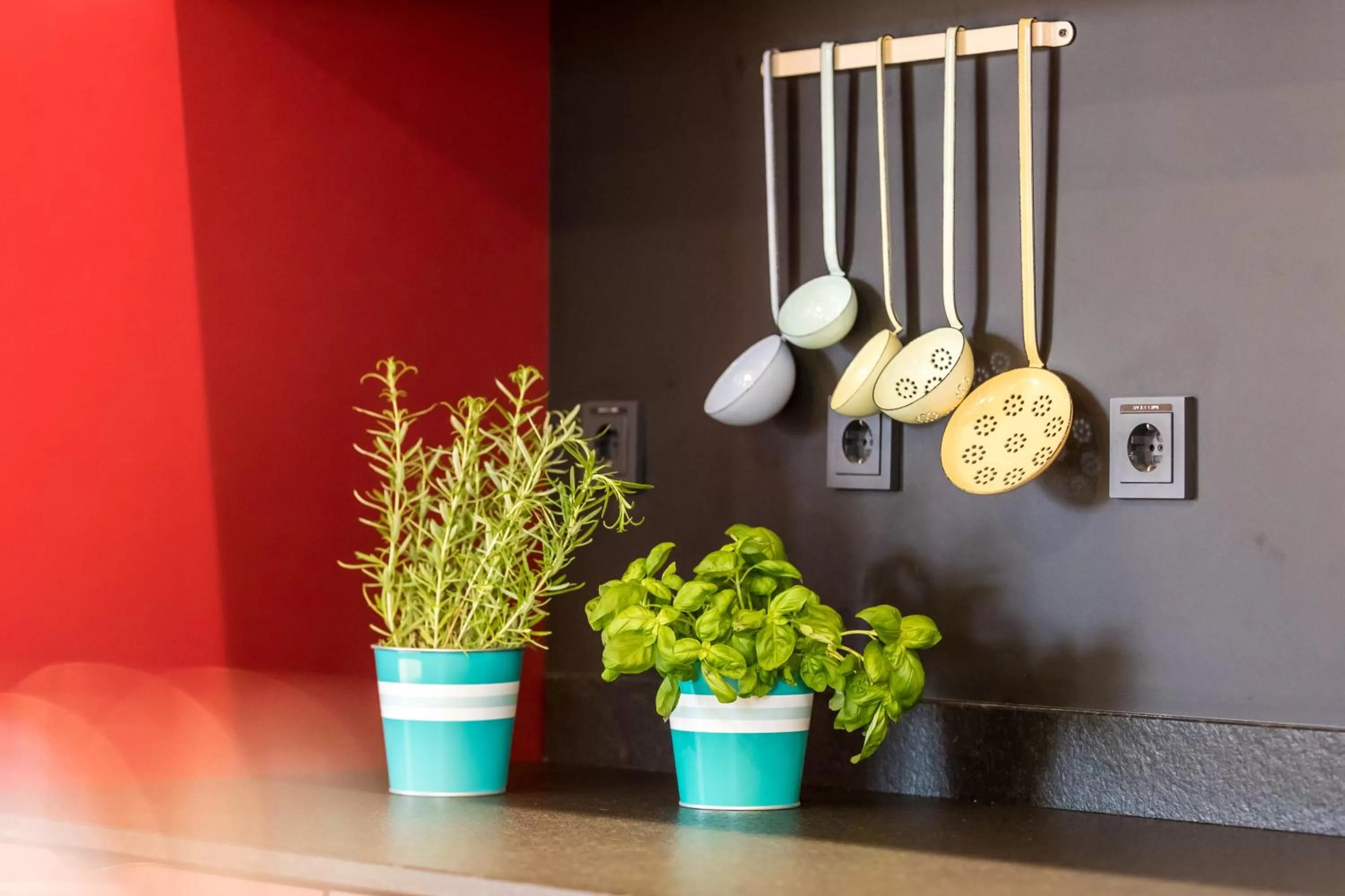 Food and drinks in Hotel einsmehr