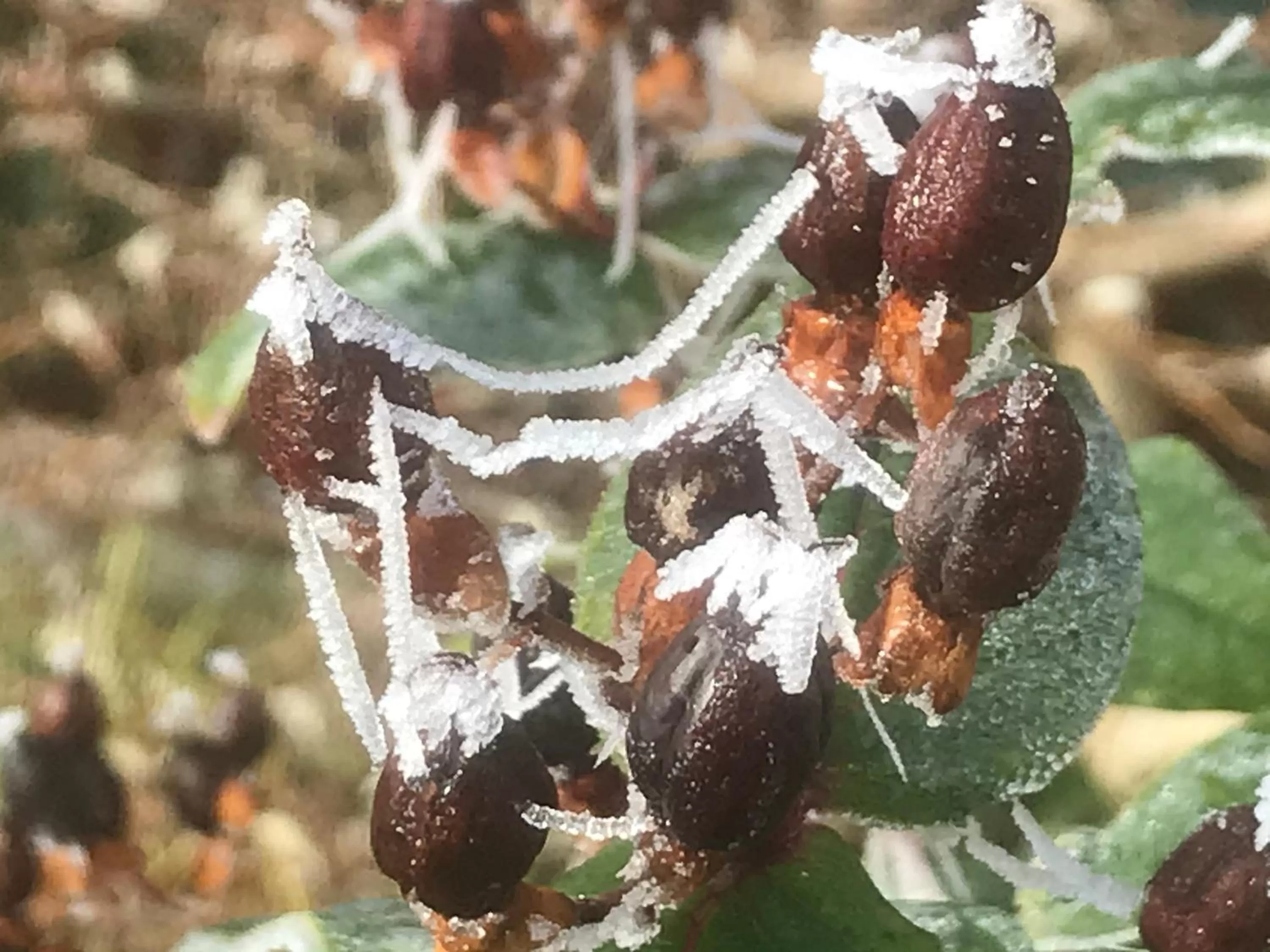Winter in Bed and Breakfast Bavaria München