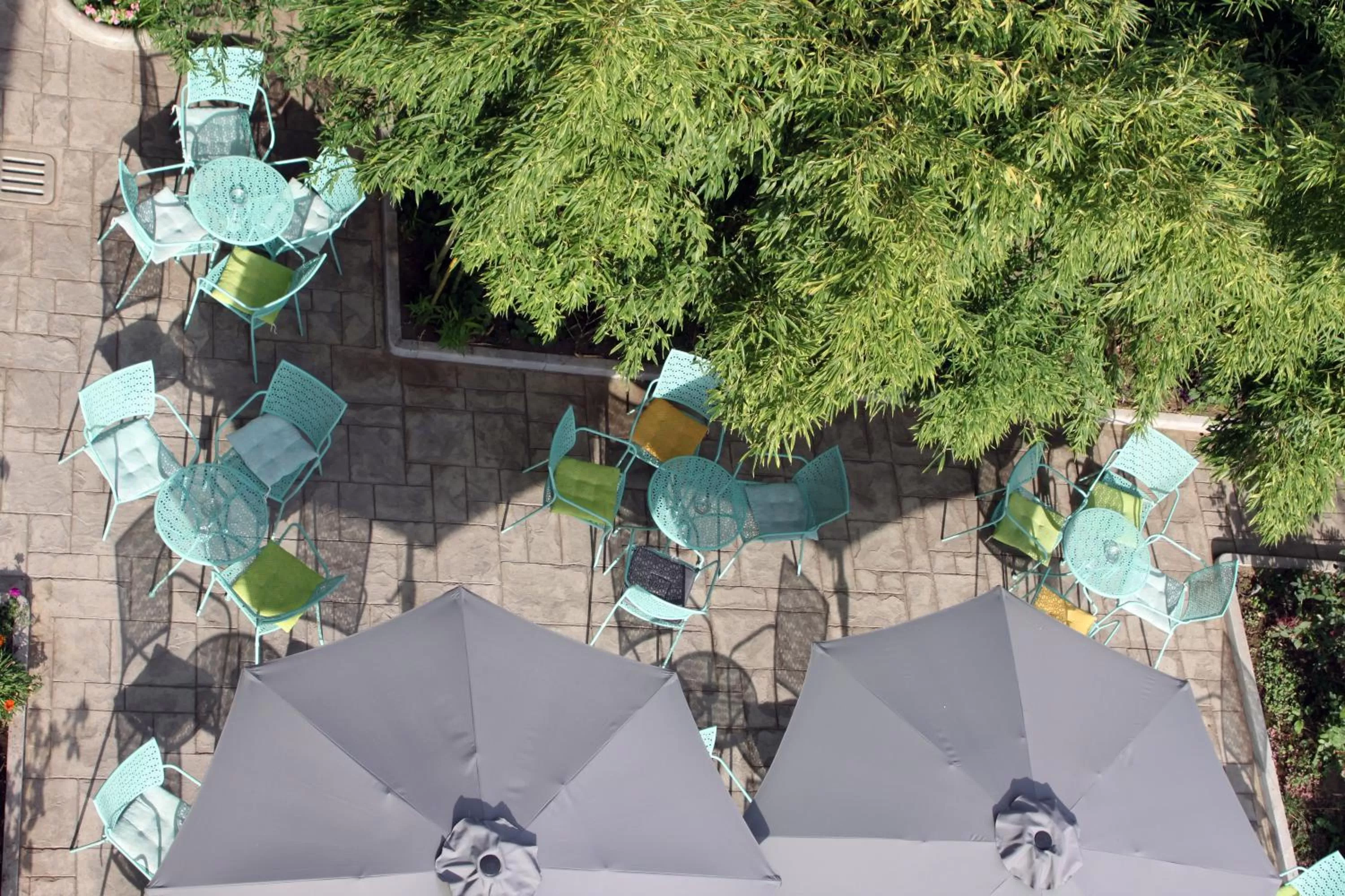 Garden view in Hotel TREVA