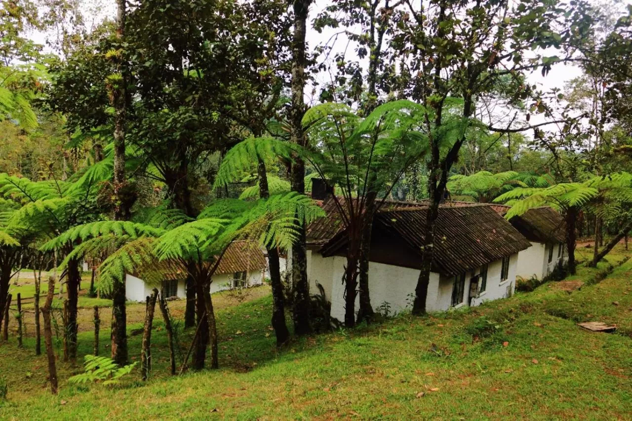 Garden in Posada Montaña del Quetzal