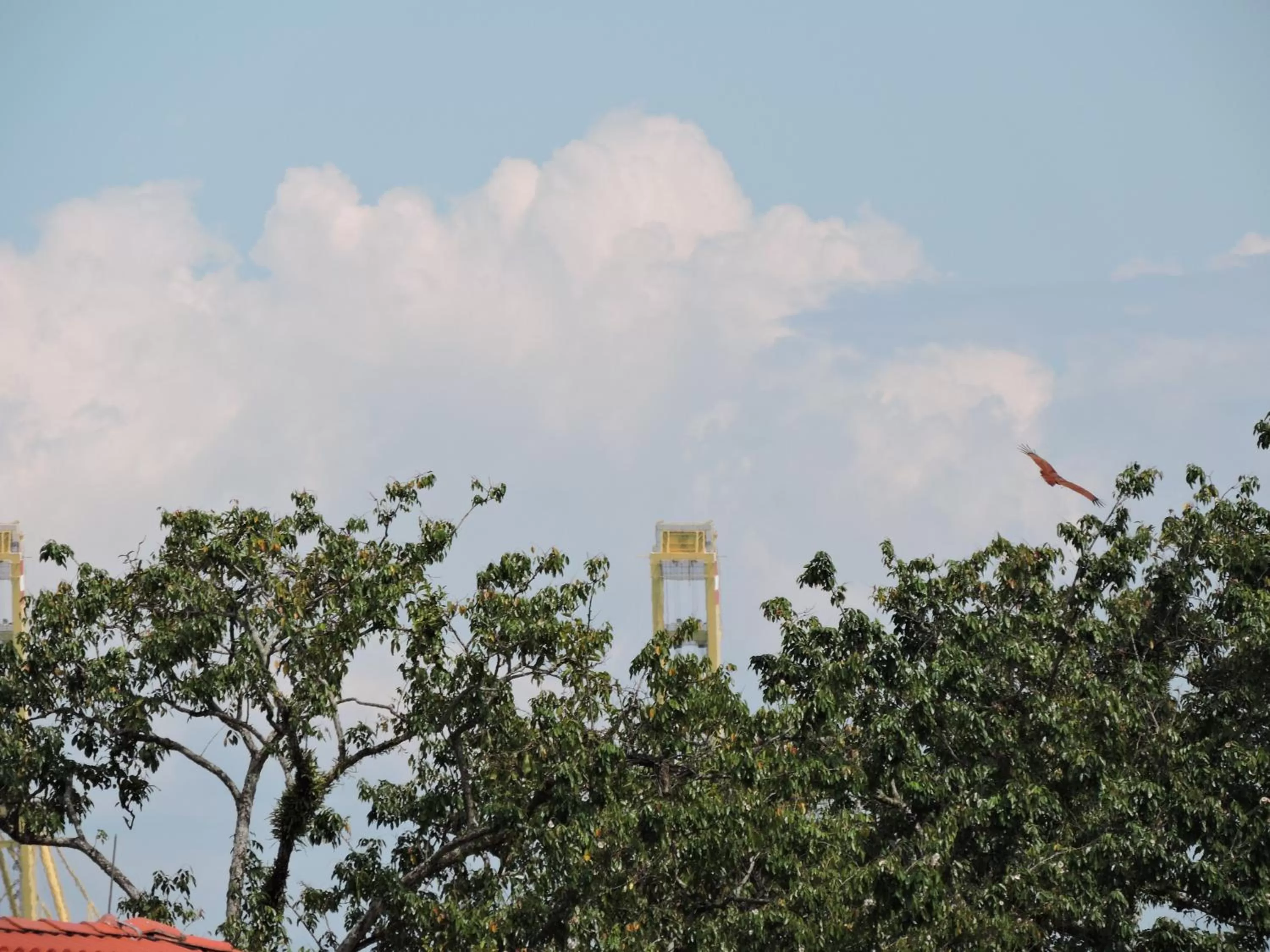 Area and facilities in Merlin Hotel George Town Penang