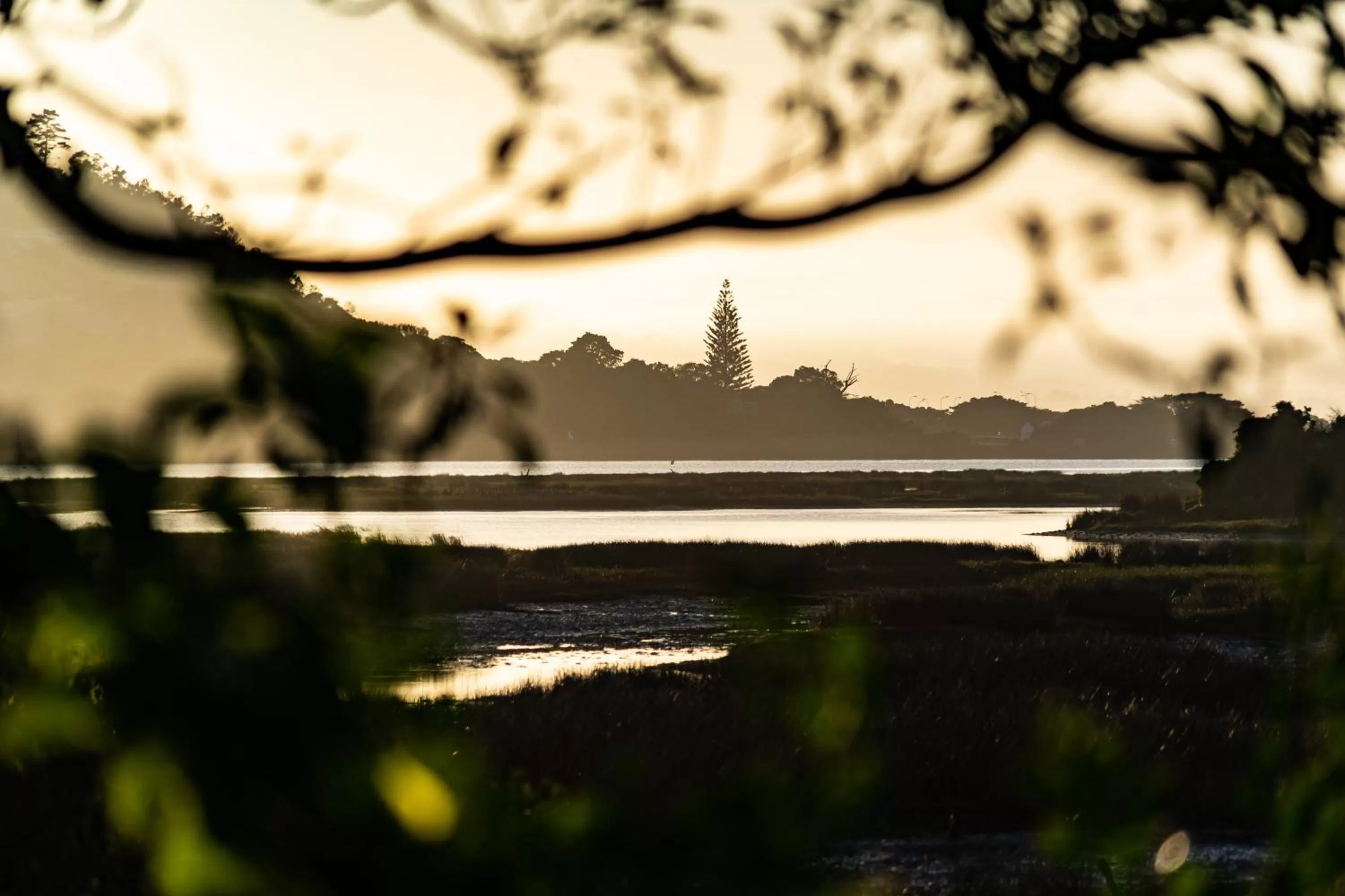 Natural landscape in Gooderson Knysna Chalets