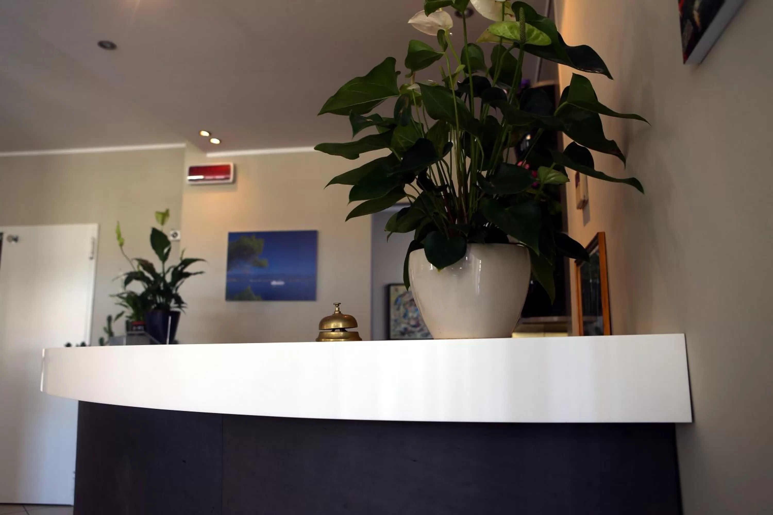 Lobby or reception in Hotel Ristorante La Marina Mhotelsgroup