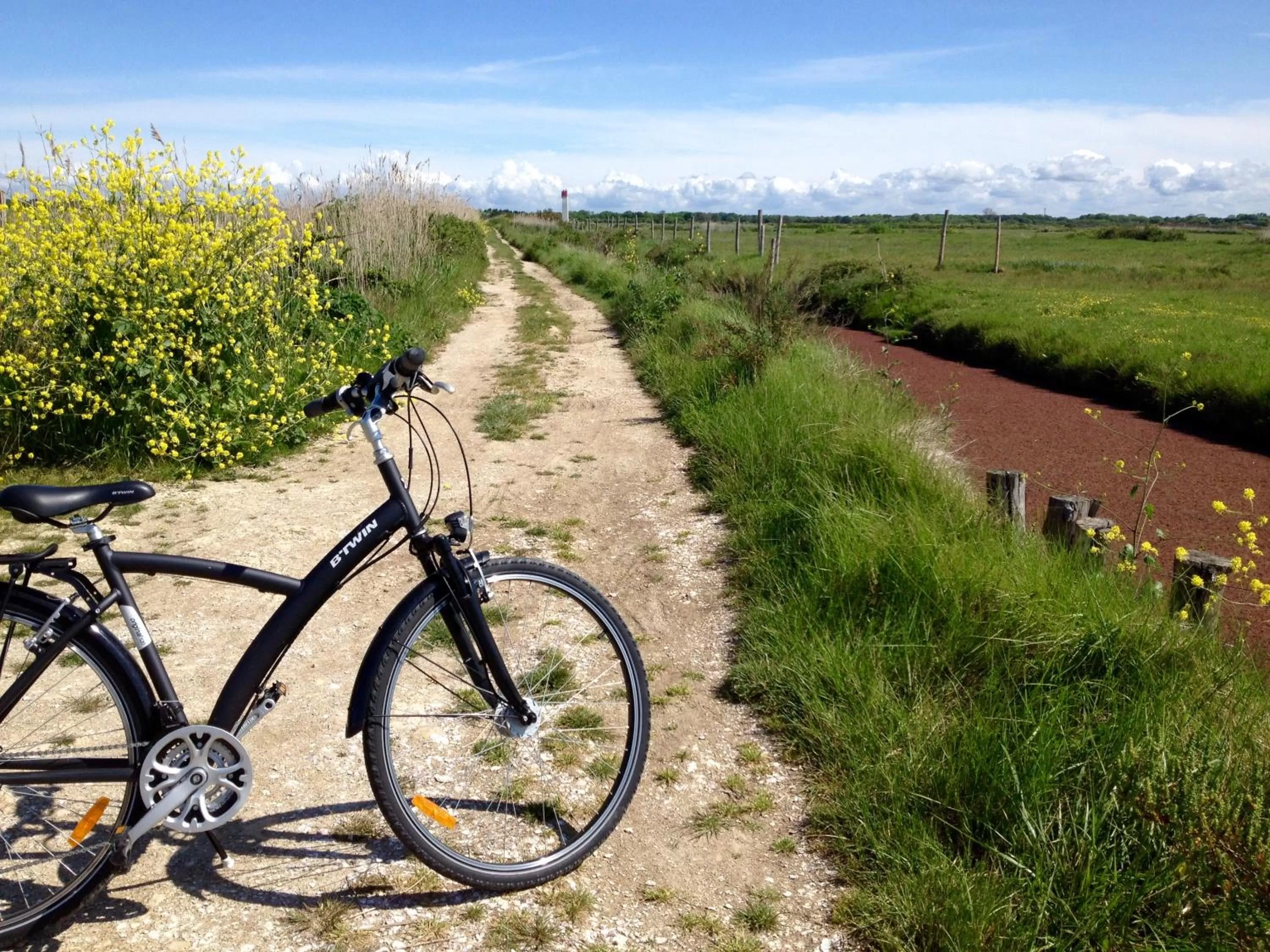Natural landscape in Grand Hôtel des Bains SPA